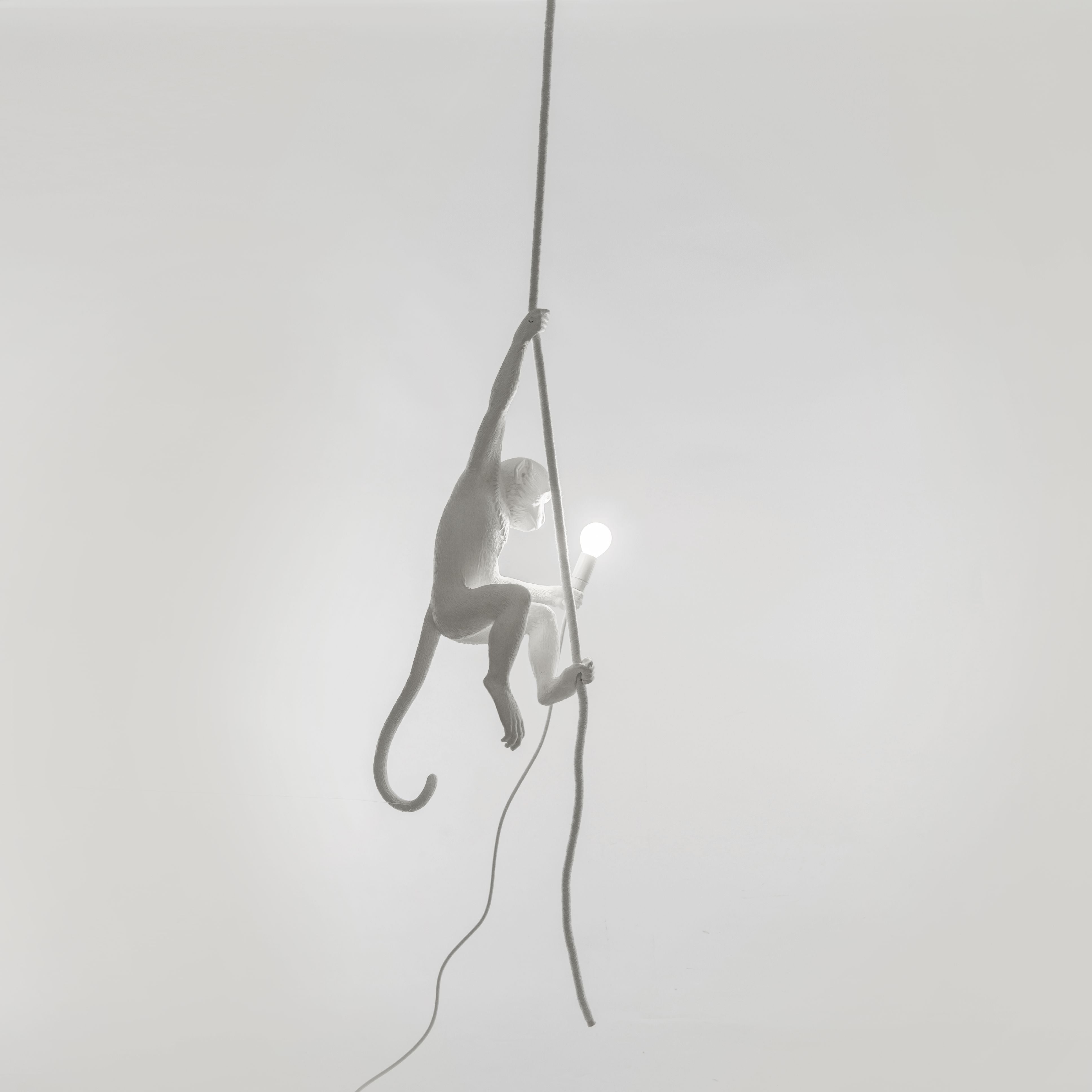 Seletti Lampe intérieure singe blanche, avec corde