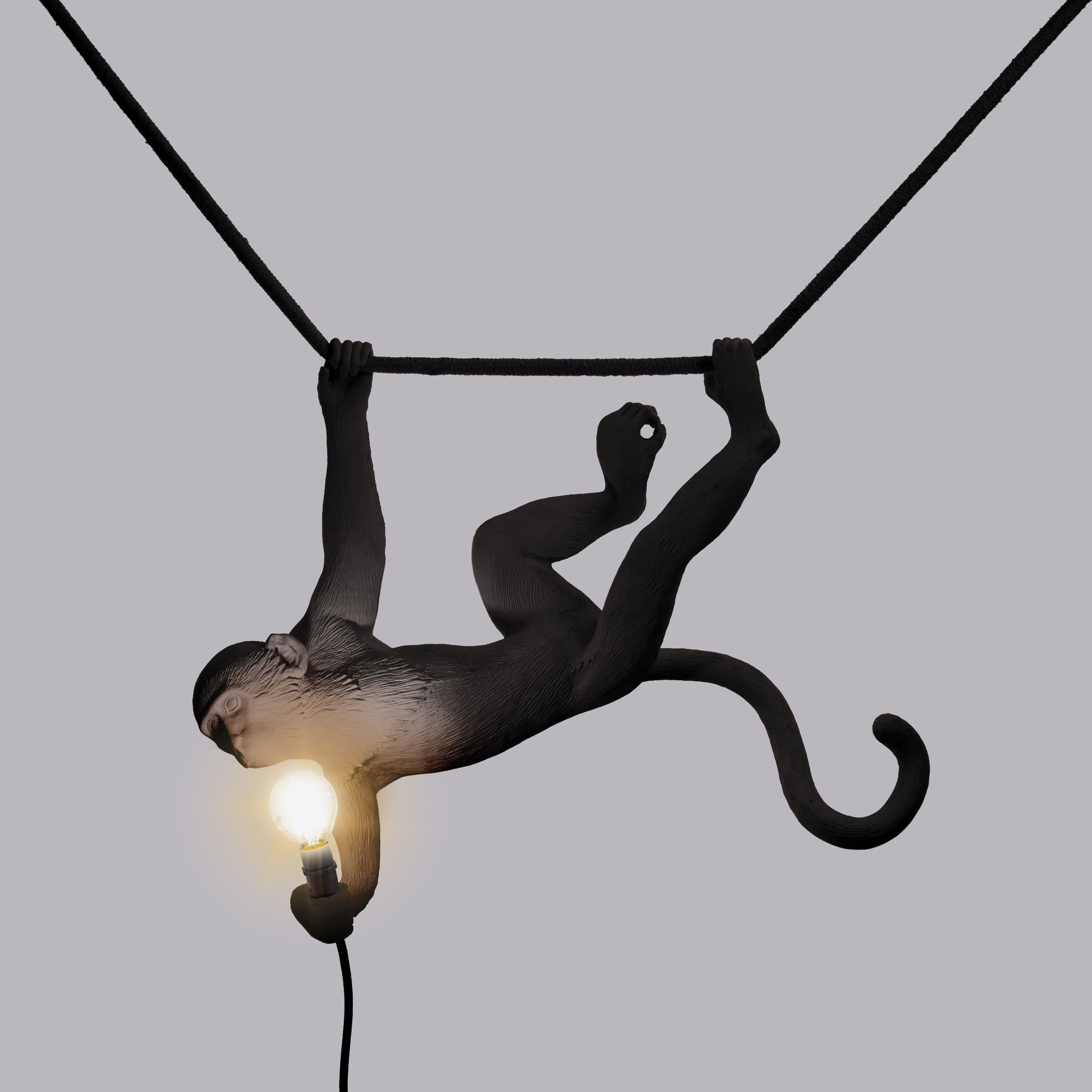 Seletti Lampe extérieure du singe noir, swing
