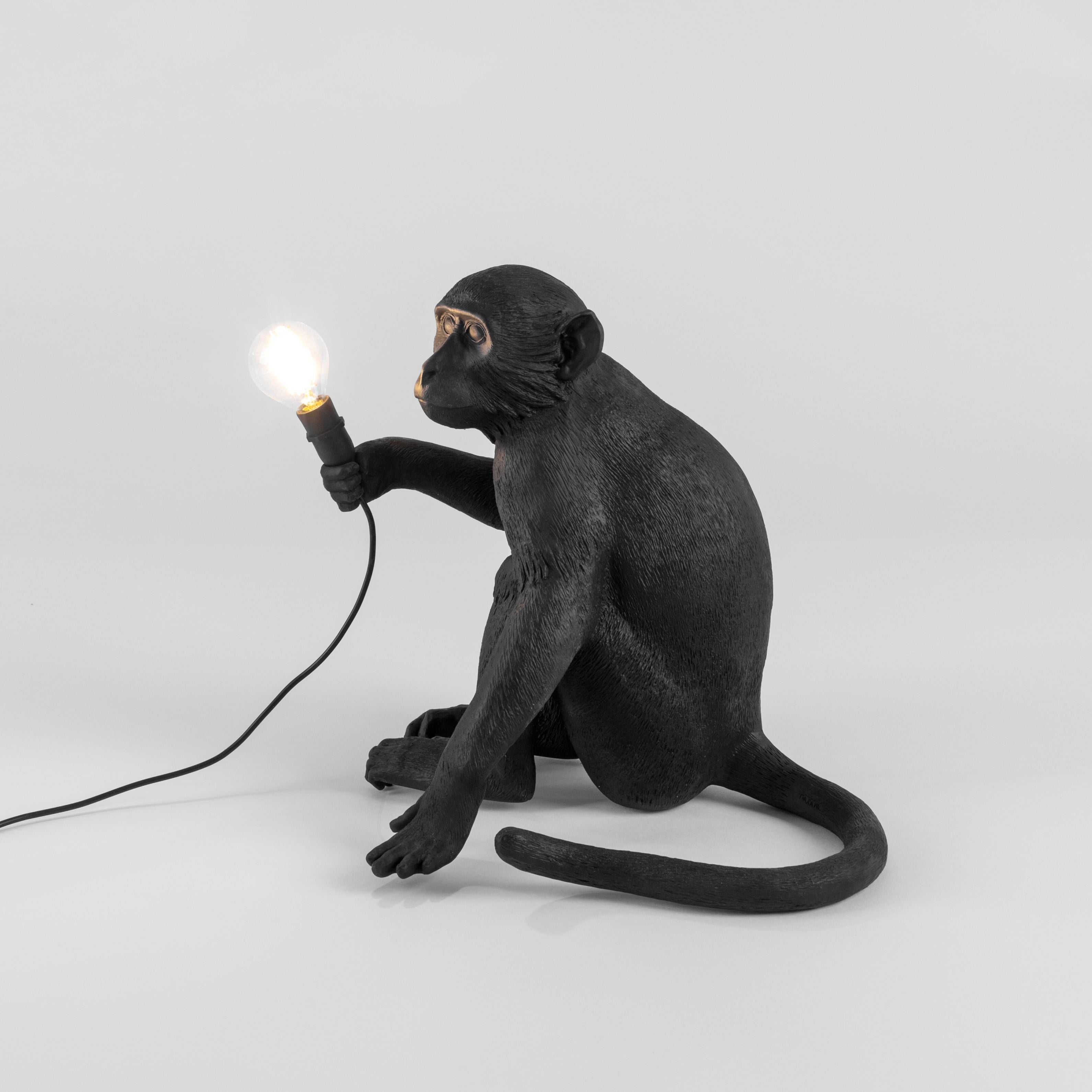 Seletti Lampe extérieure du singe noir, assis