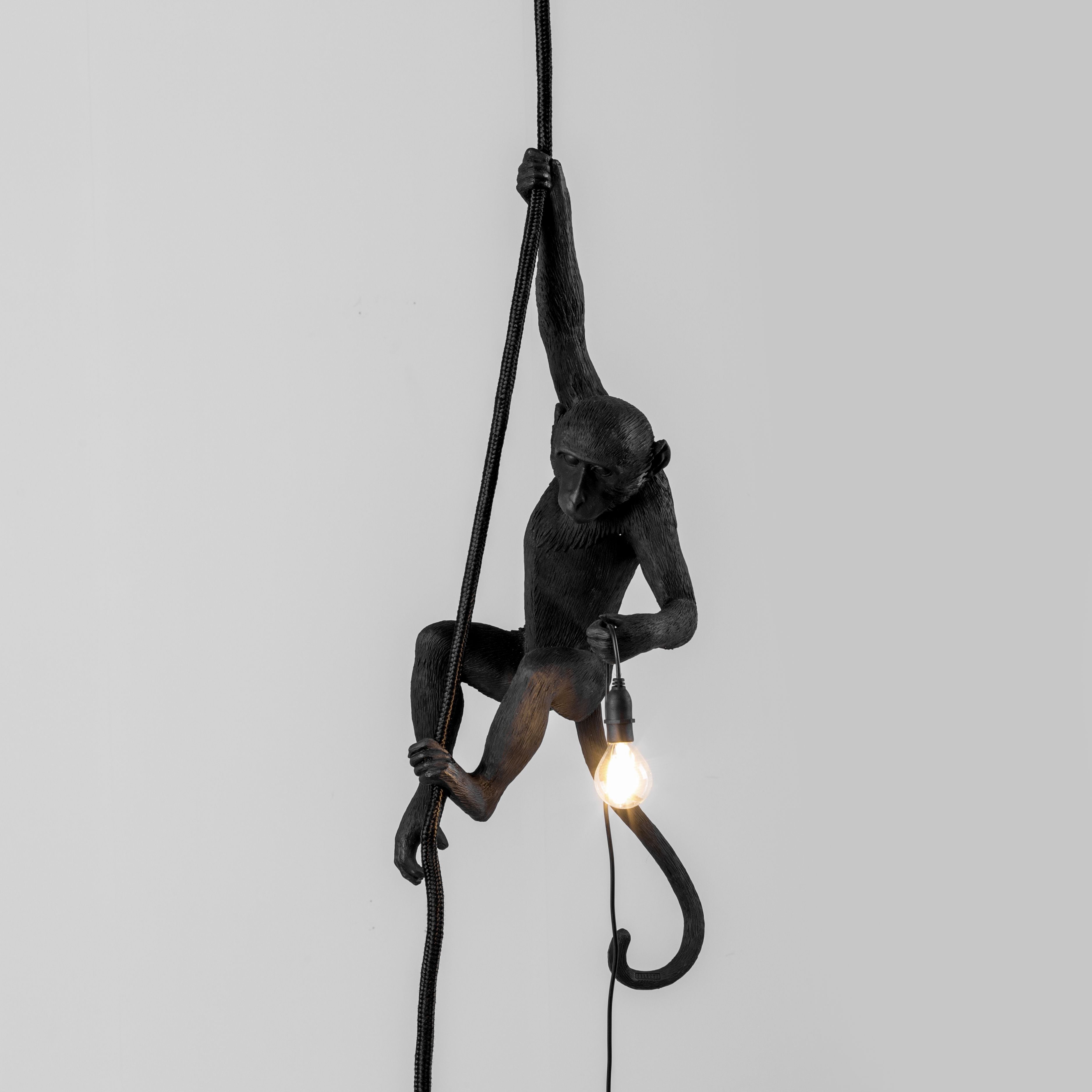 Seletti Lampe extérieure de singe noir, avec corde