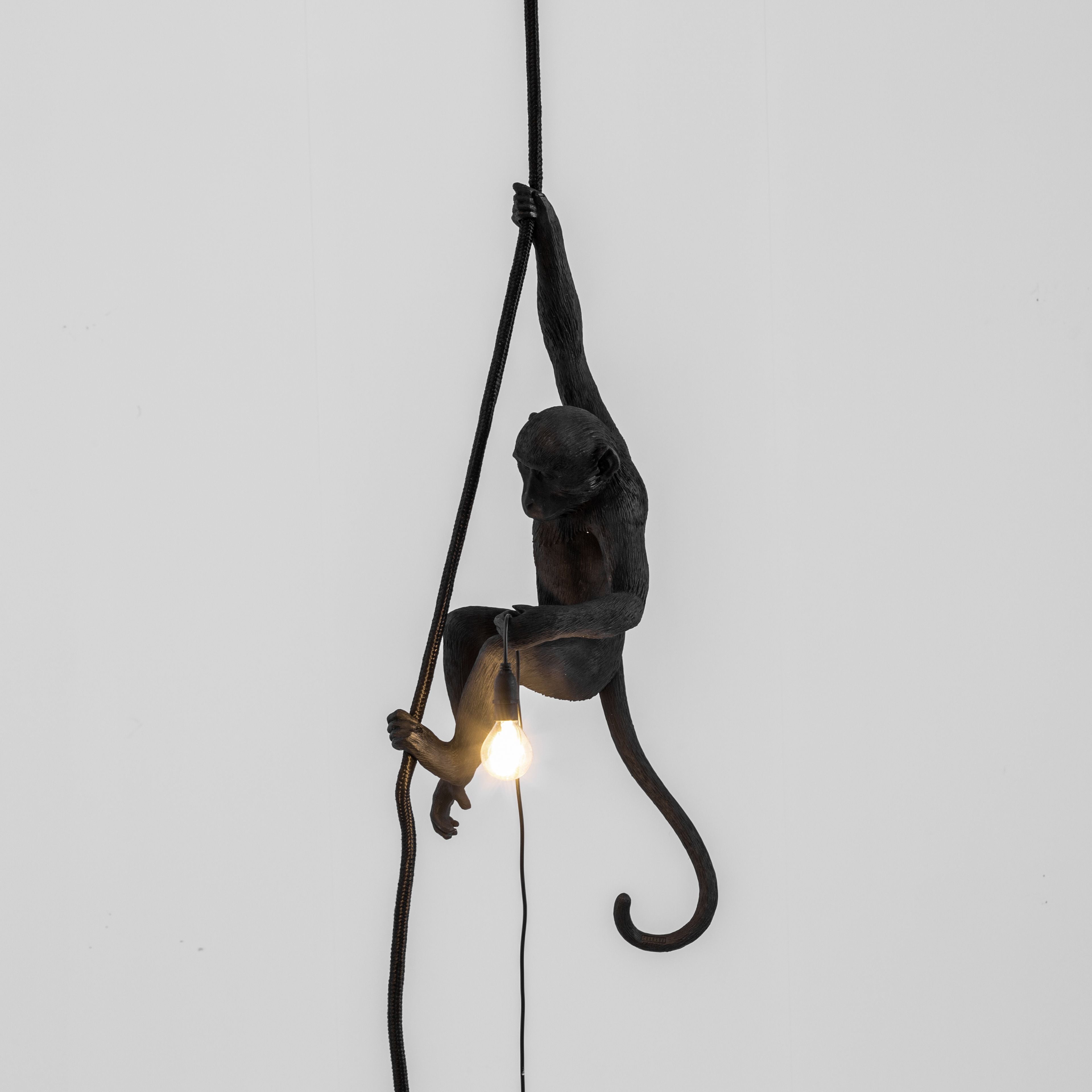 Seletti Lampe extérieure de singe noir, avec corde