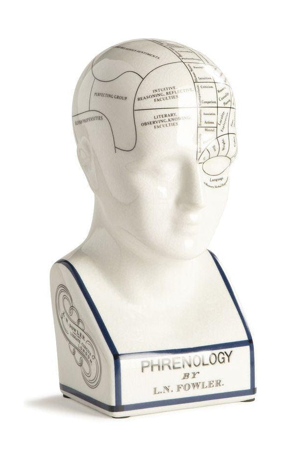 Authentic Models Phrenologisch hoofd, klein