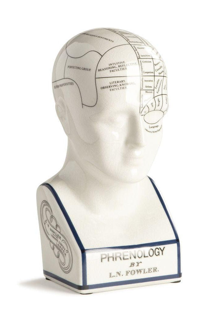 Authentic Models PHRENOLOGISK HEAD