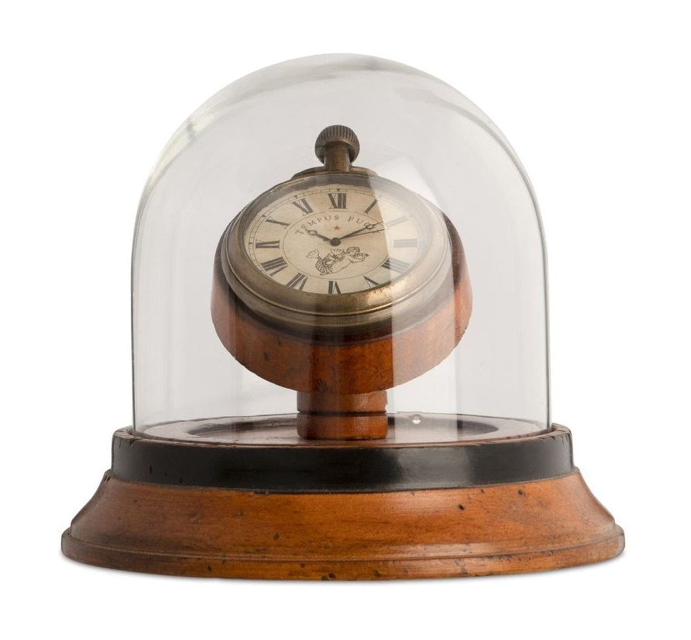 真实的模型维多利亚时代的圆顶时钟