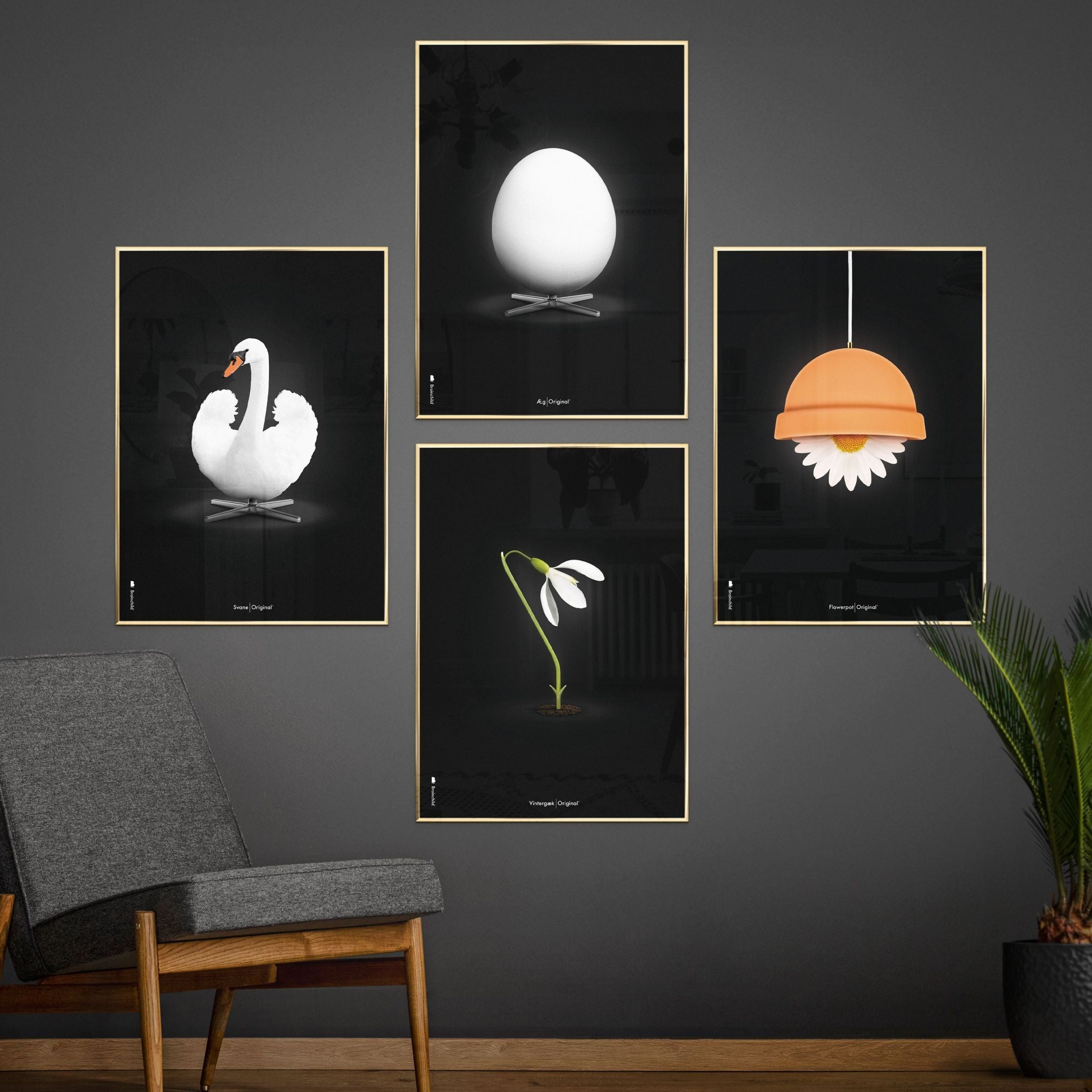 Póster clásico de huevo de creación, marco de latón 70 x100 cm, fondo negro
