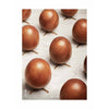 Poster per sfilata di uova di prima cornice, 30 x40 cm