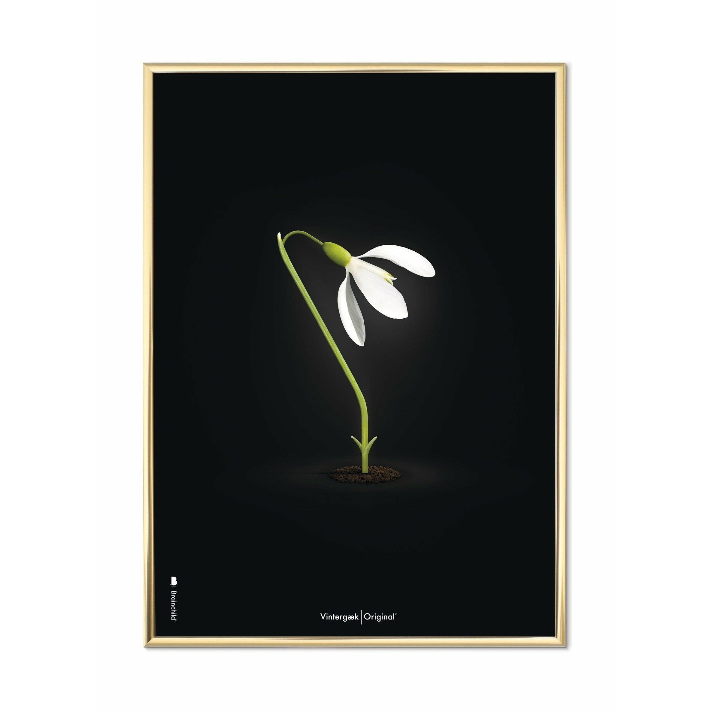 brainchild Snowdrop klassieke poster, messing gekleurd frame 30x40 cm, zwarte achtergrond