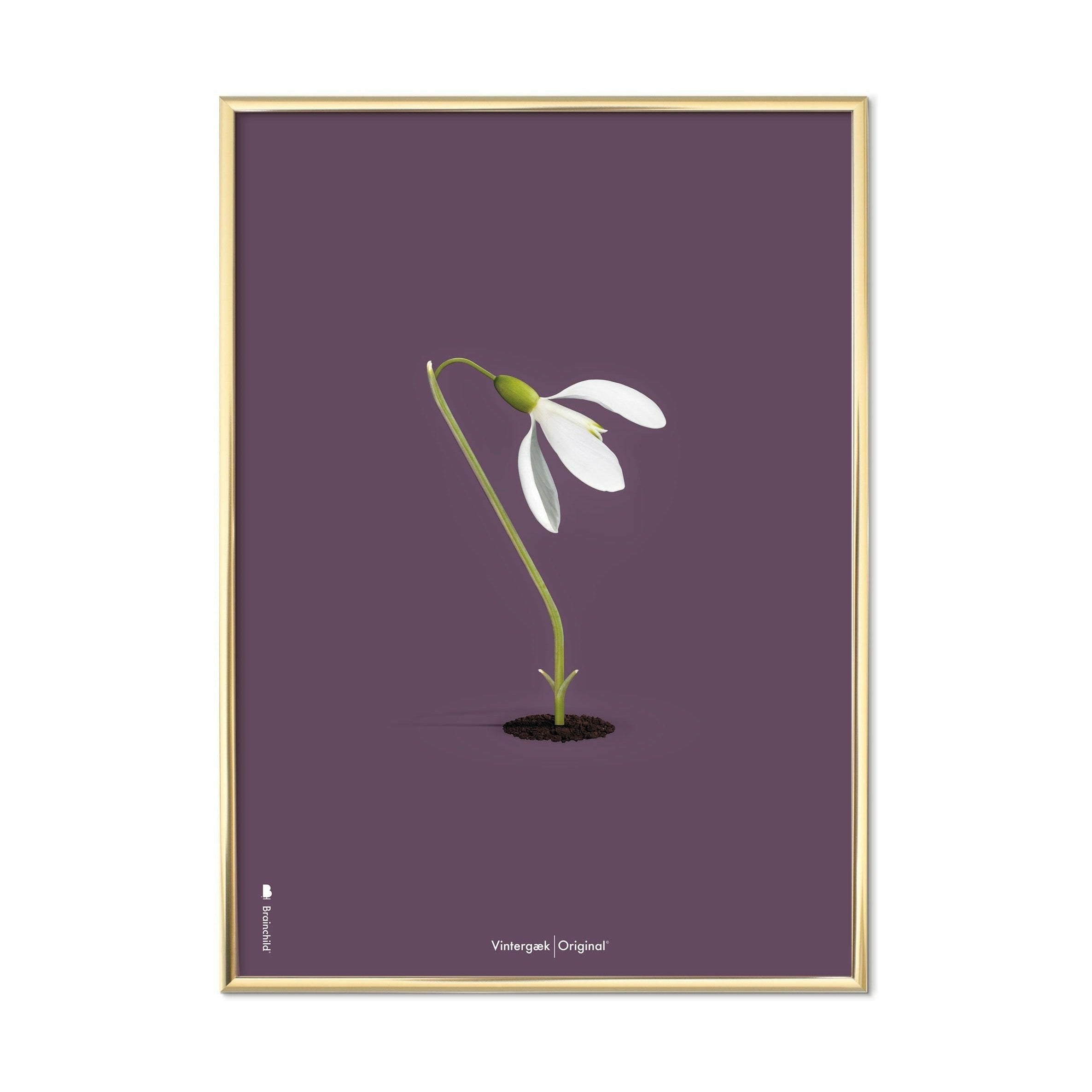 brainchild Snowdrop Classic plakat, messingfarvet ramme 50x70 cm, lilla baggrund