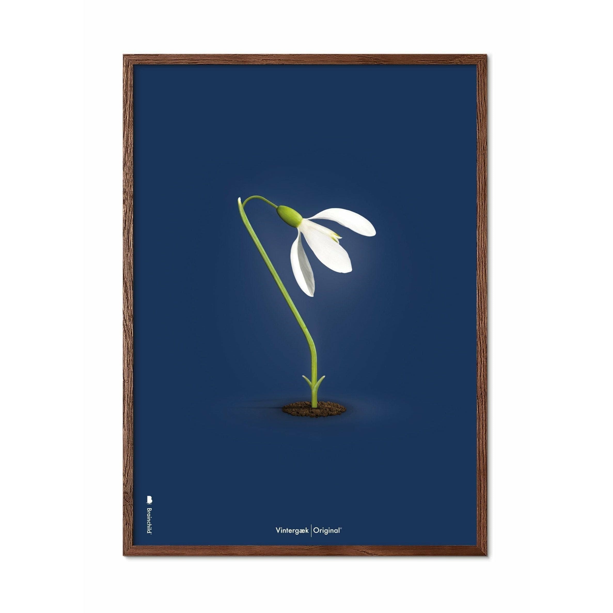 Brainchild Snowdrop Classic Poster, Frame Made Of Dark Wood 30x40 Cm, Dark Blue Background