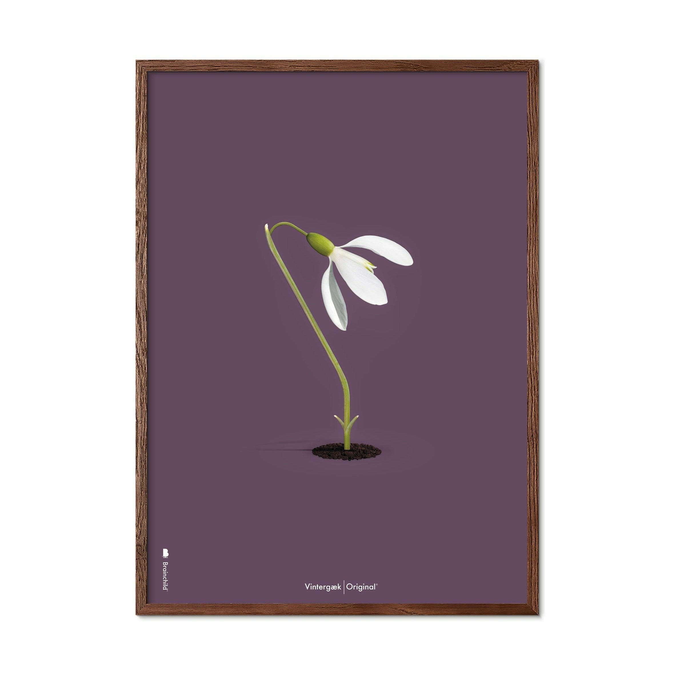 brainchild Snowdrop klassieke poster, frame gemaakt van donker hout 50x70 cm, paarse achtergrond