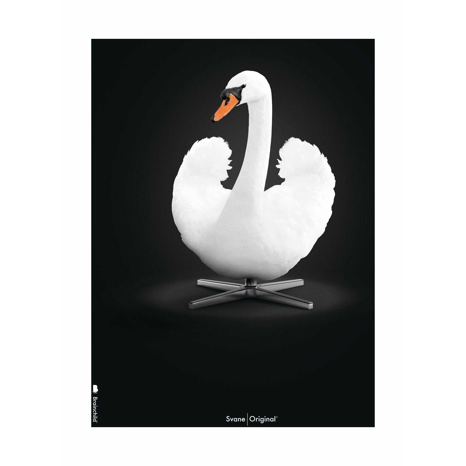 brainchild Swan Classic Poster zonder frame 70 x100 cm, witte/witte achtergrond
