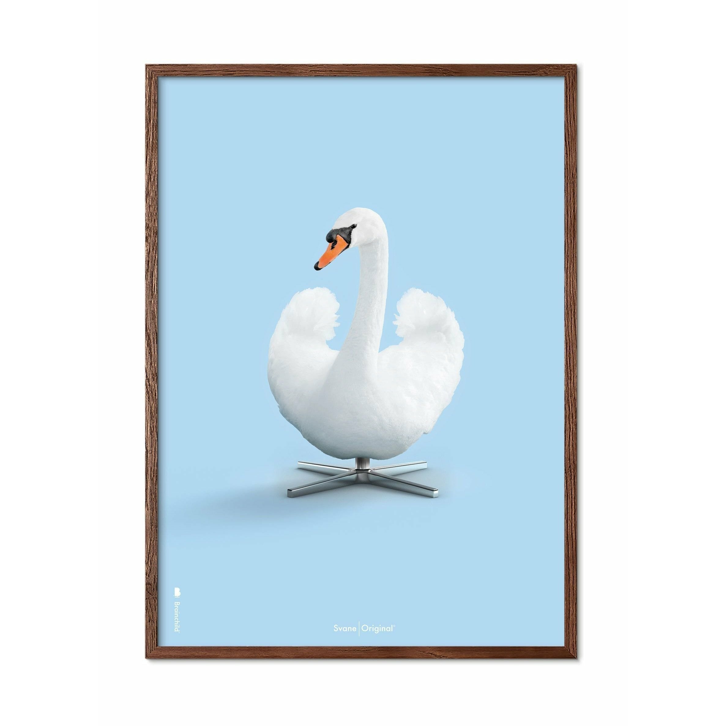 Brainchild Swan Classic Poster, Dark Wood Frame 30x40 Cm, Light Blue Background