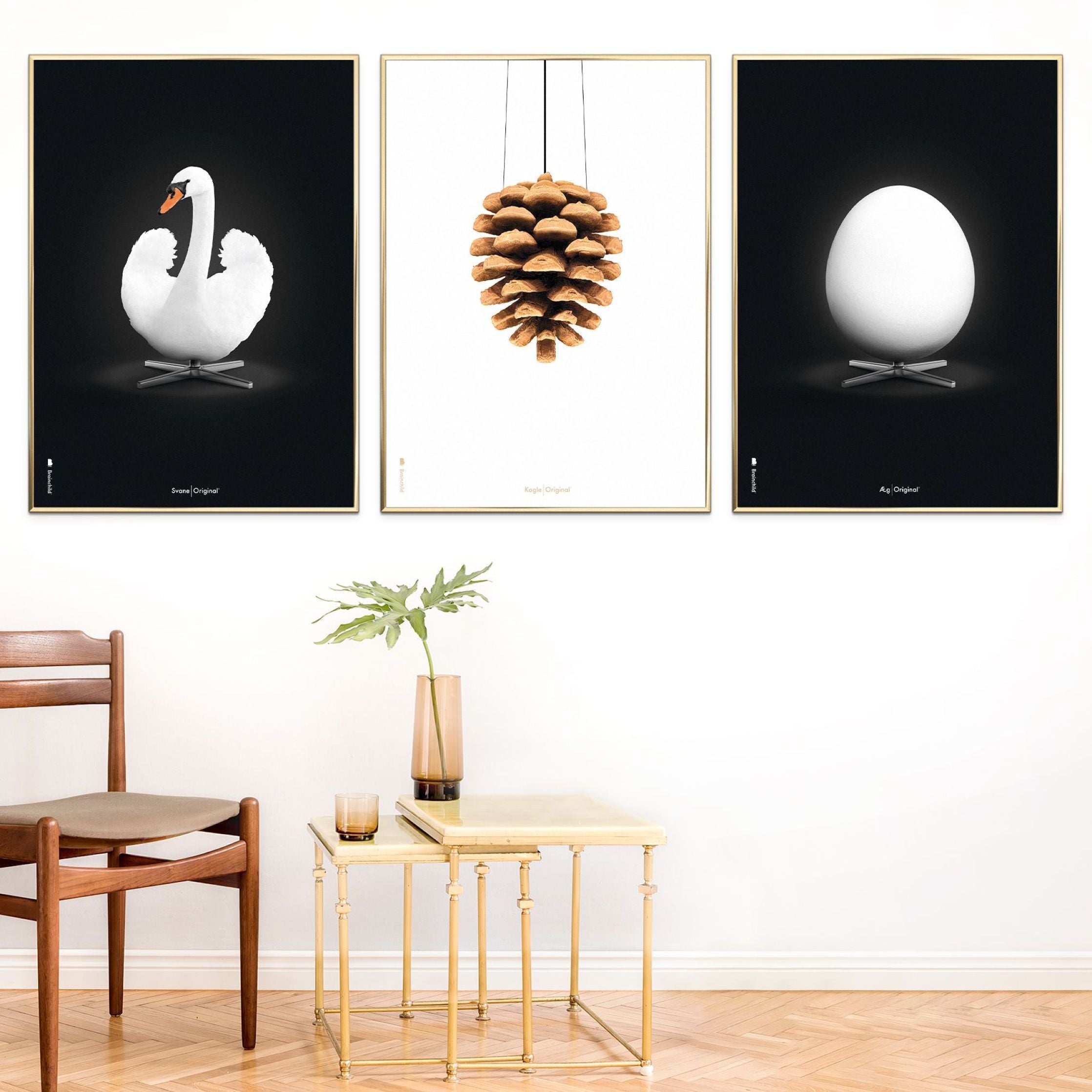 Brainchild Swan Classic Poster, Ramme laget av mørkt tre 30x40 cm, hvit/hvit bakgrunn