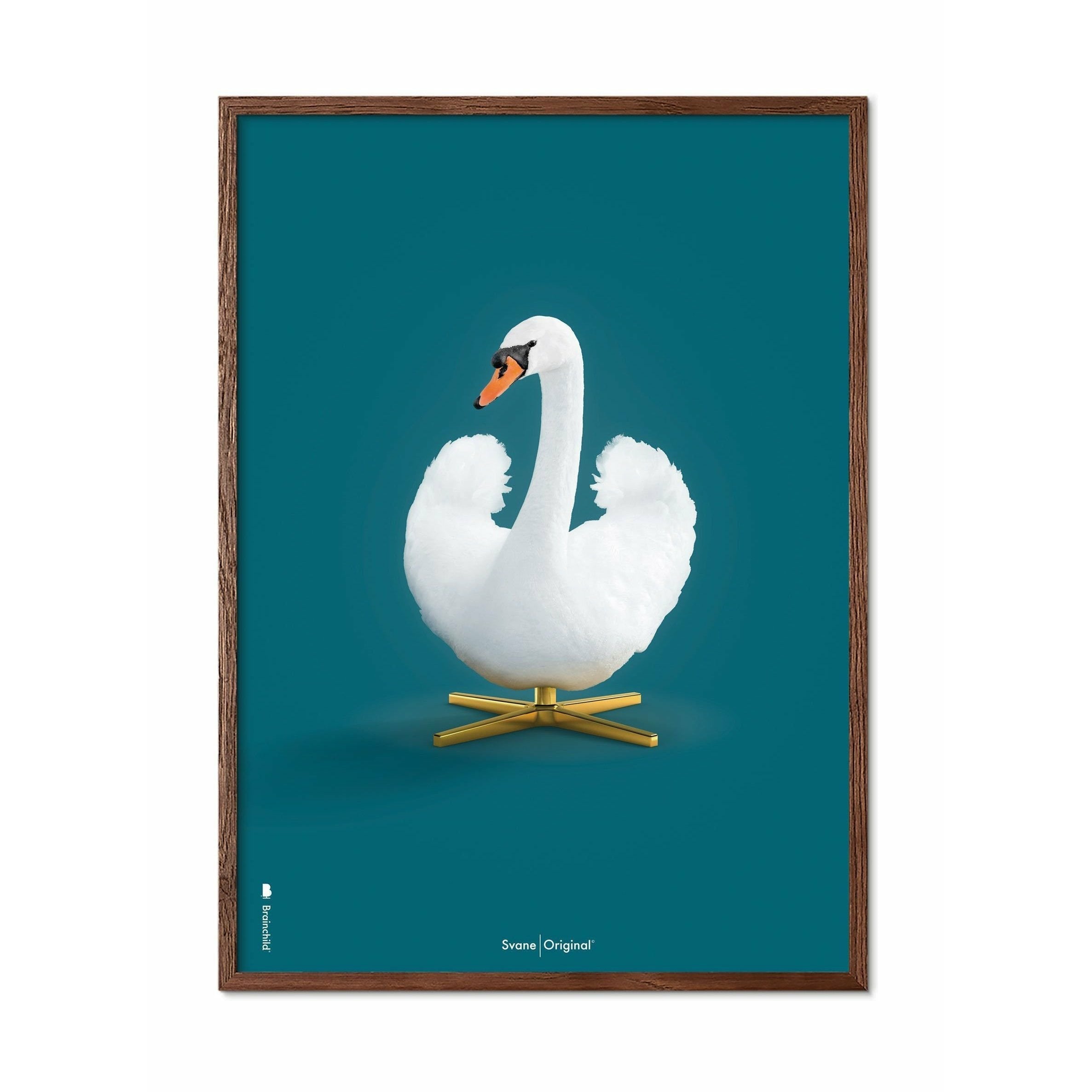 Brainchild Swan Classic Poster, Dark Wood Frame 70x100 cm, Petroleum Blue Bakgrund