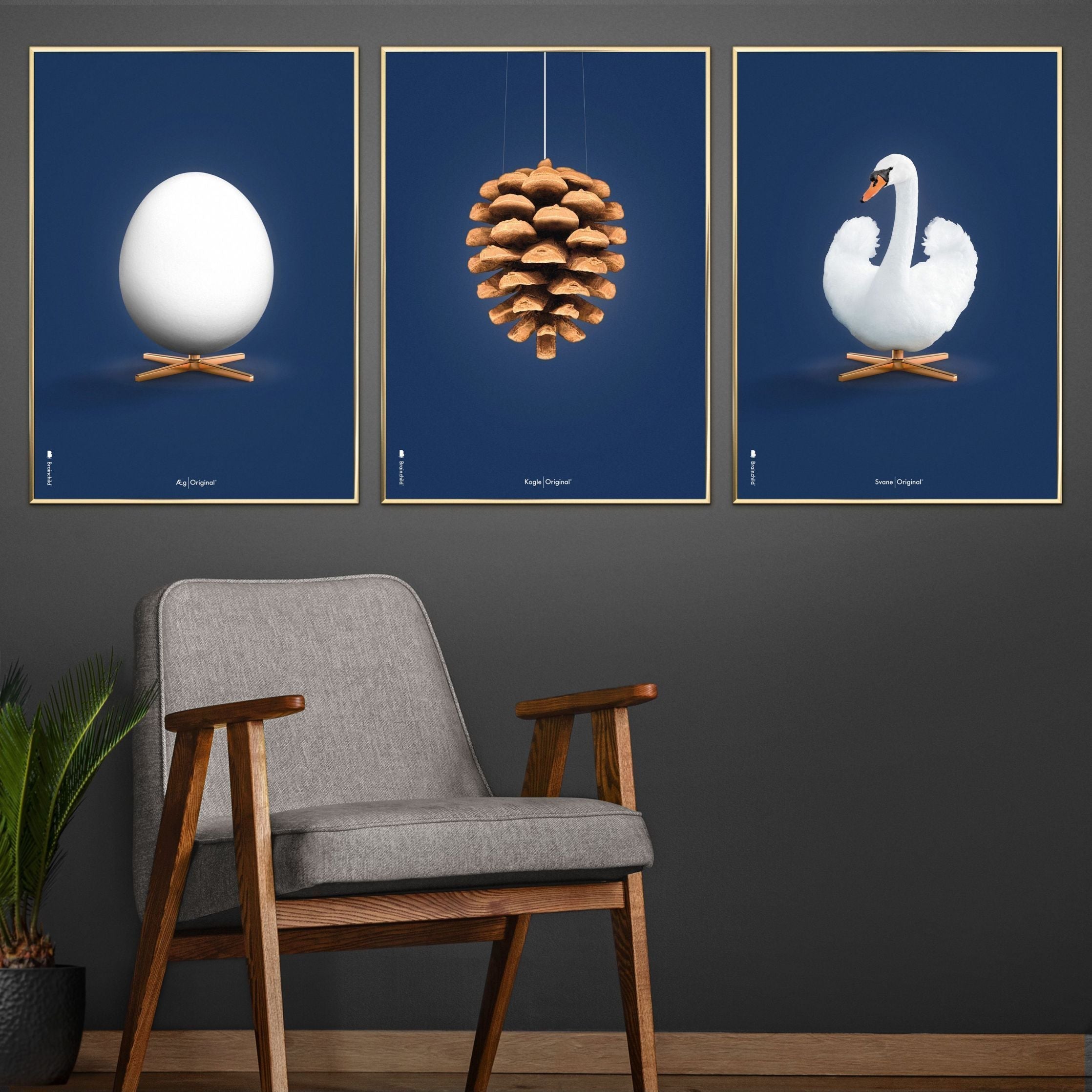 Brainchild Swan Classic Poster, Frame Made of Light Wood 30x40 cm, mørkeblå bakgrunn