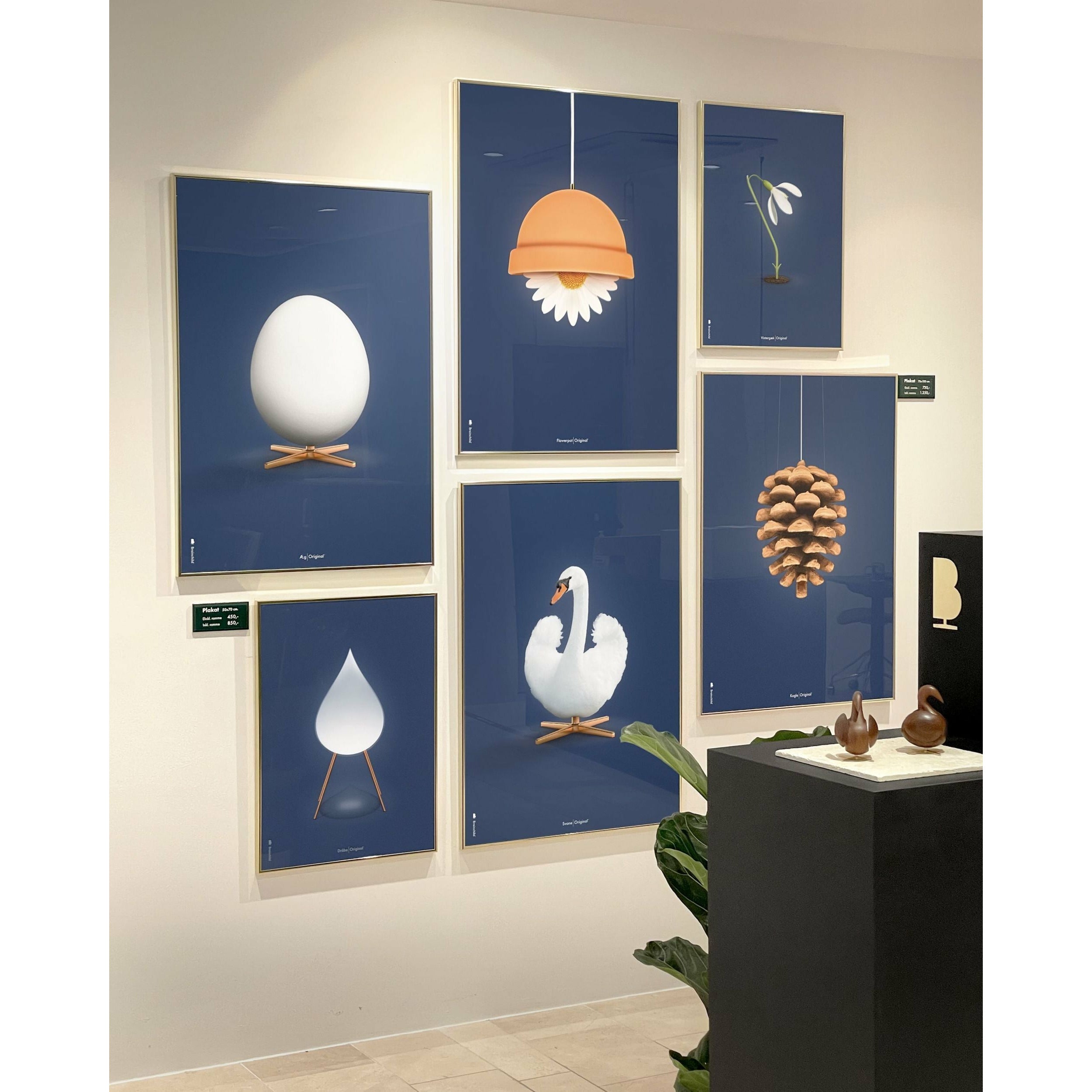 brainchild Swan Classic Poster, frame gemaakt van licht hout 30x40 cm, donkerblauwe achtergrond