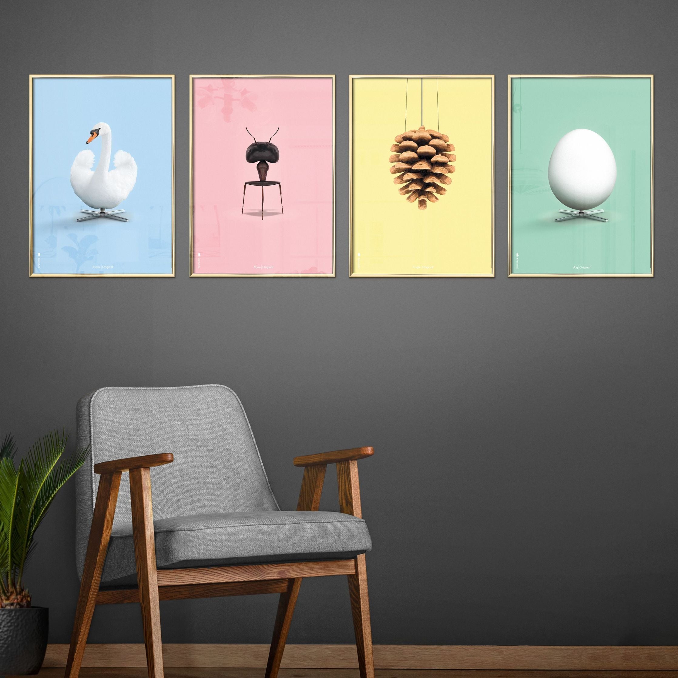 Brainchild Swan Classic Affisch, Light Wood Frame A5, ljusblå bakgrund