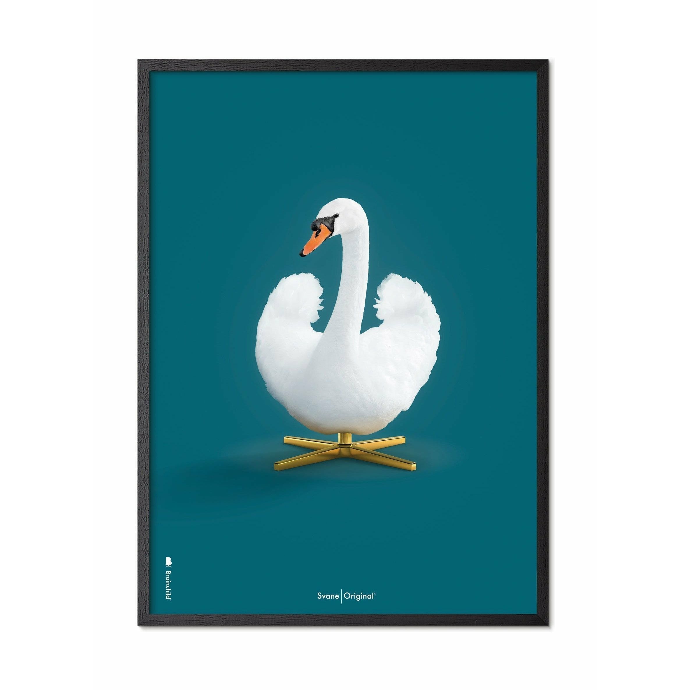 Brainchild Swan Classic Poster, Frame In Black Lacquered Wood 50x70 Cm, Petroleum Blue Background