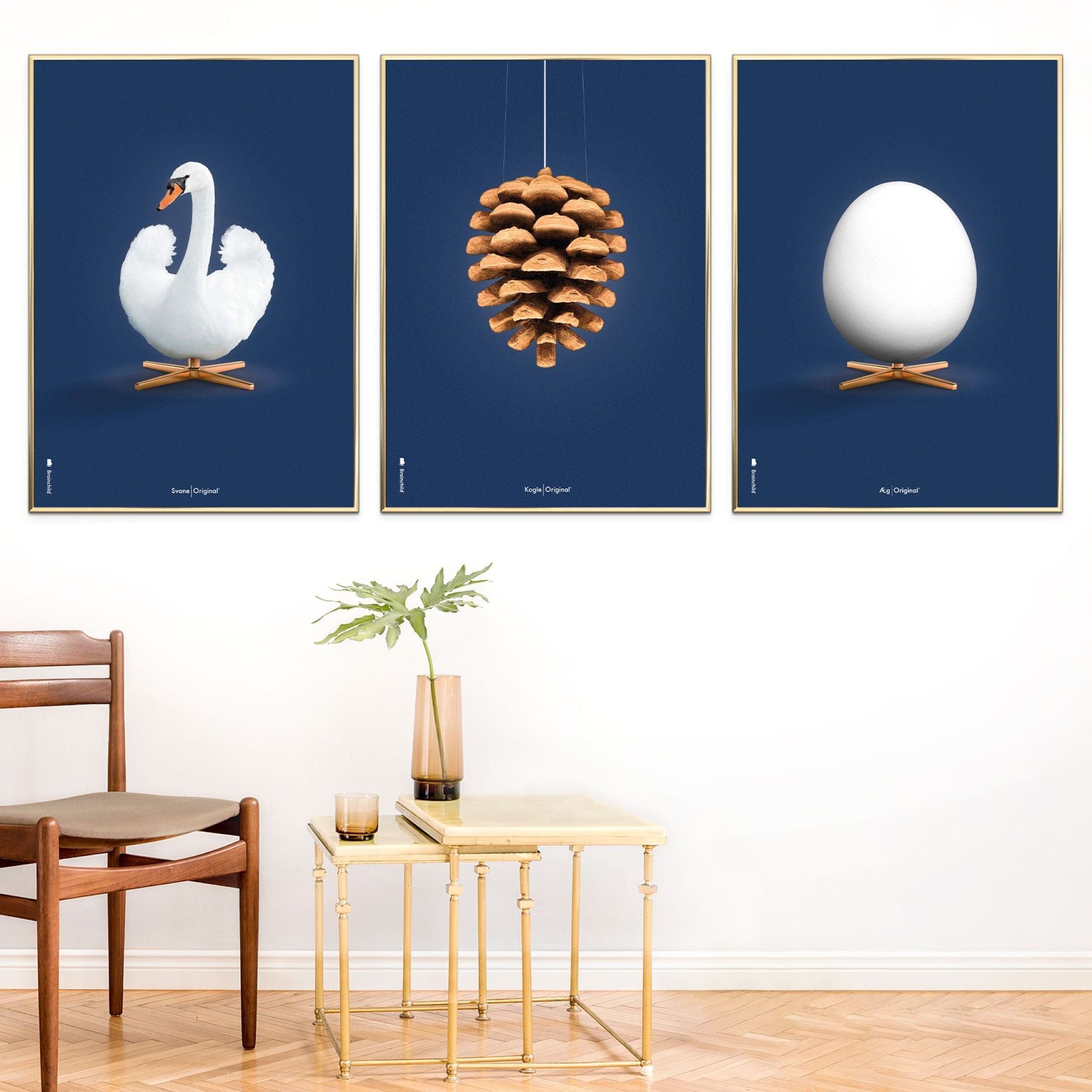 Brainchild Pine Cone Classic Poster, Messingrahmen 50x70 cm, dunkelblauer Hintergrund