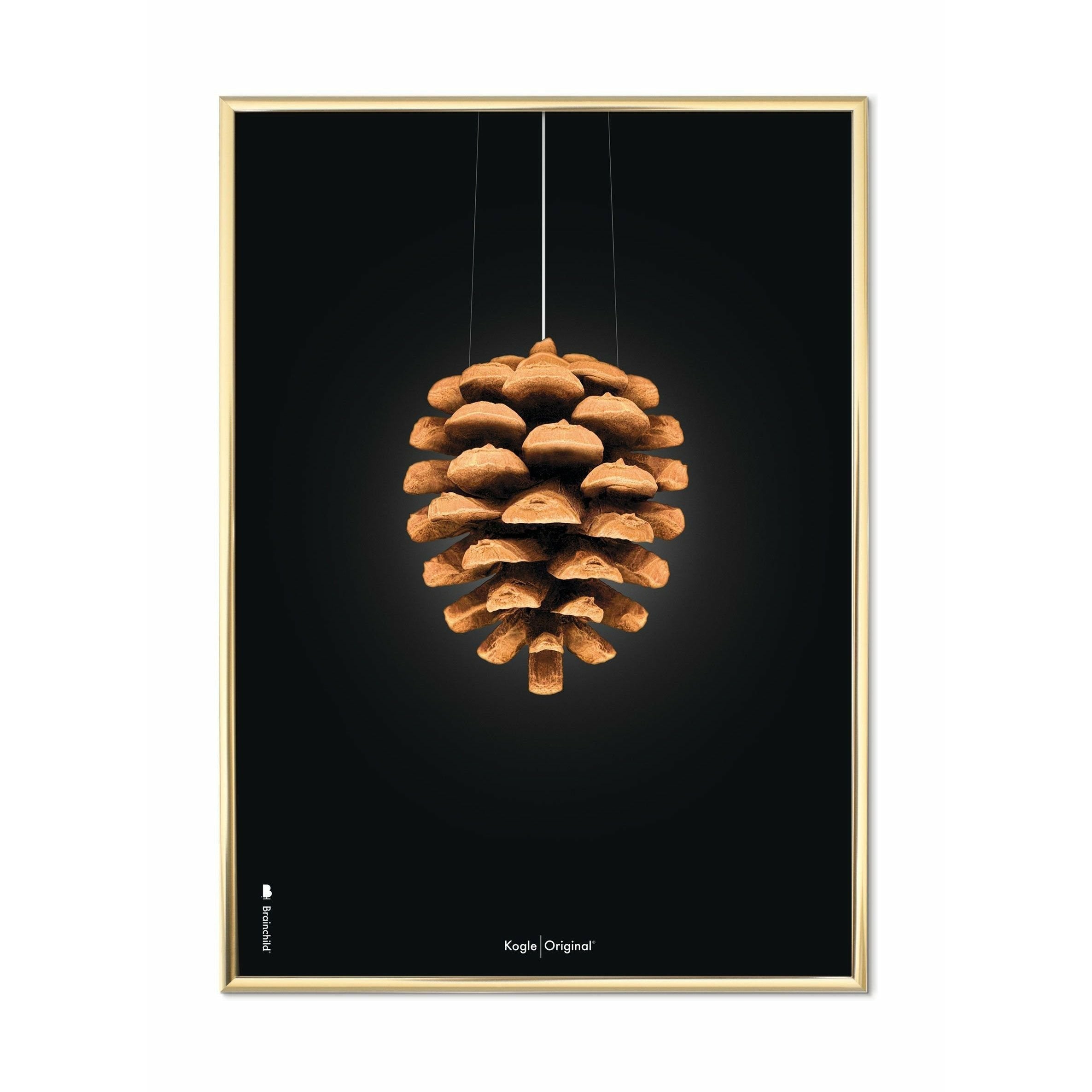 Brainchild Pine Cone Classic Poster, Brass Colored Frame 50x70 Cm, Black Background