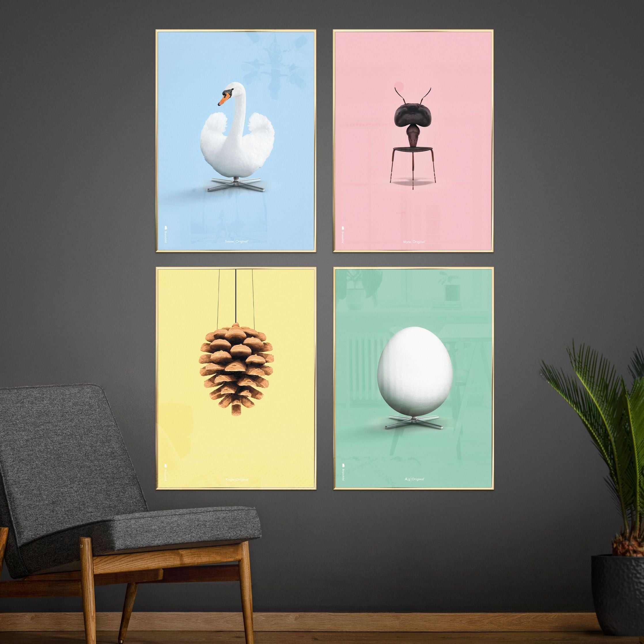brainchild Pine Cone Classic Poster, messing gekleurd frame 70 x100 cm, gele achtergrond