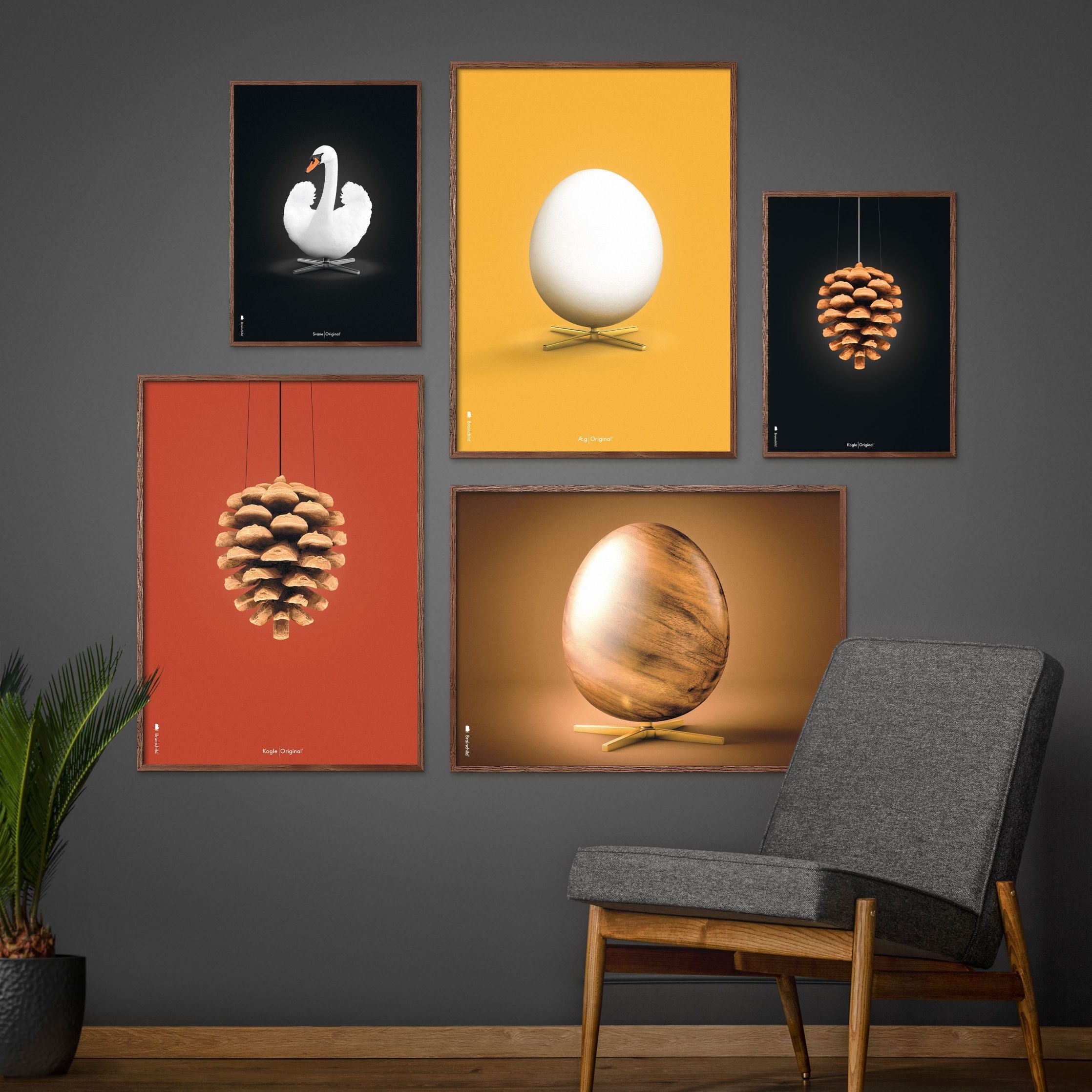Brainchild Pine Cone Classic Posterrahmen aus dunklem Holz 30x40 cm, roter Hintergrund