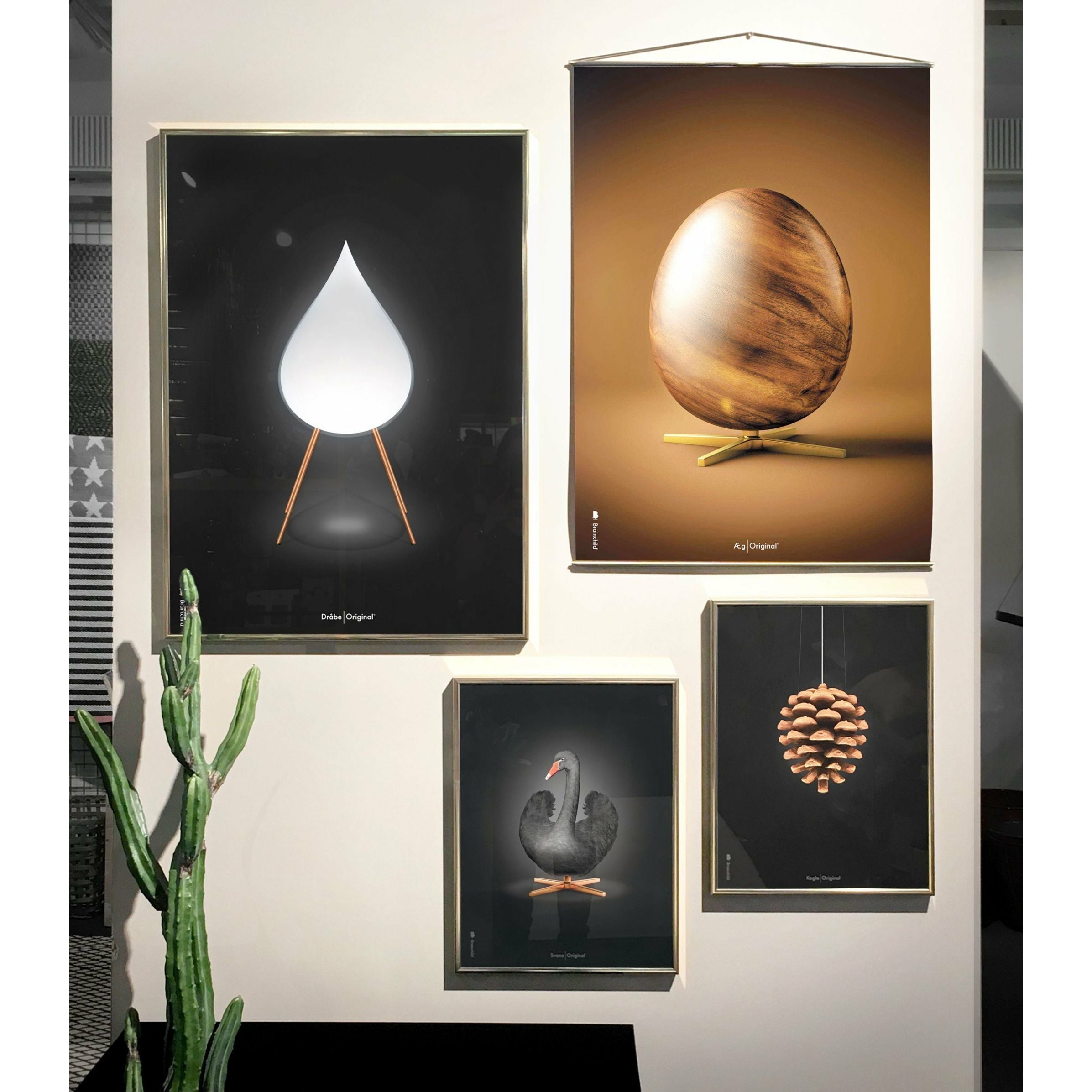 brainchild Pine Cone Classic Poster, frame gemaakt van donker hout 50x70 cm, zwarte achtergrond