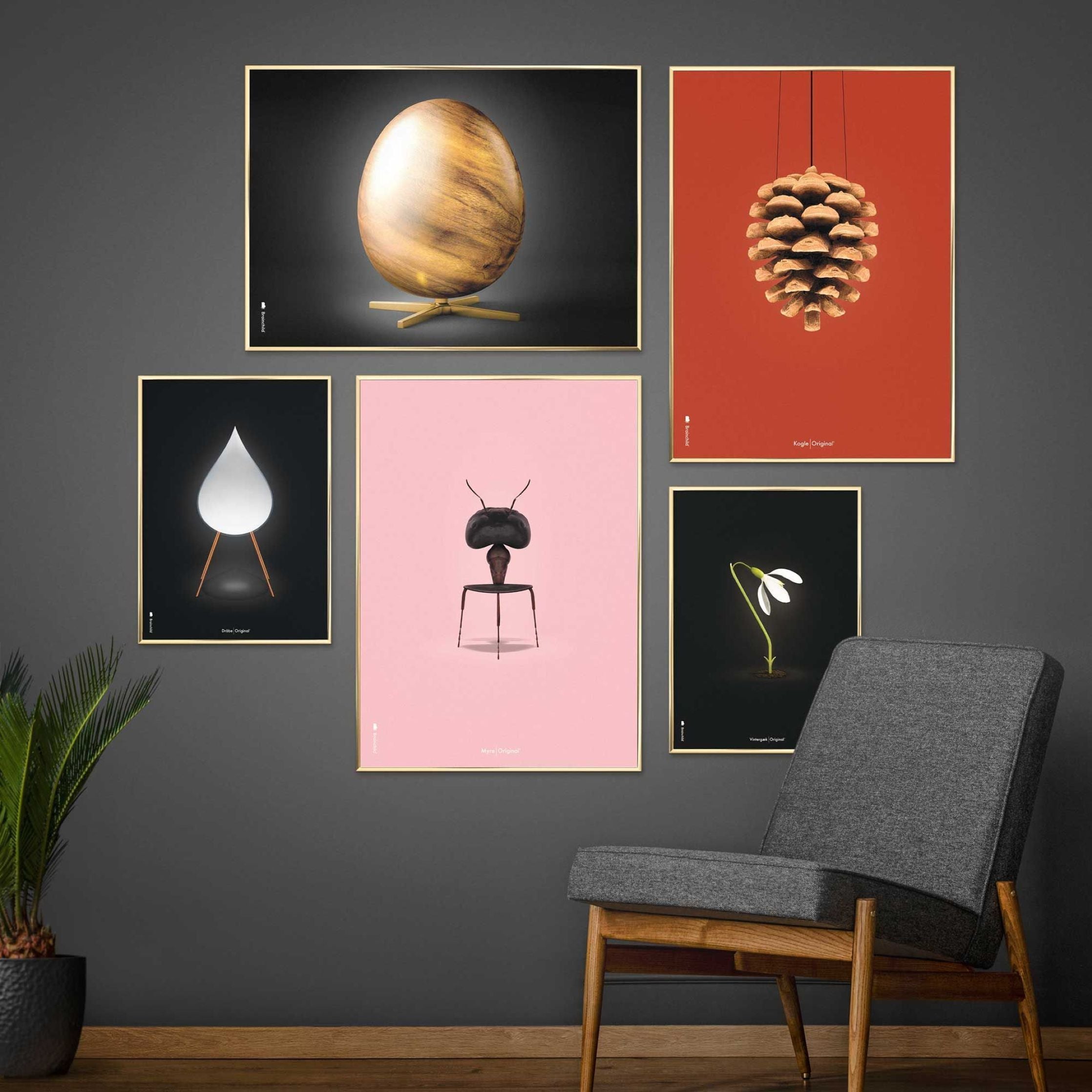 Brainchild Pine Cone Classic Poster, Dark Wood Frame A5, Red Background