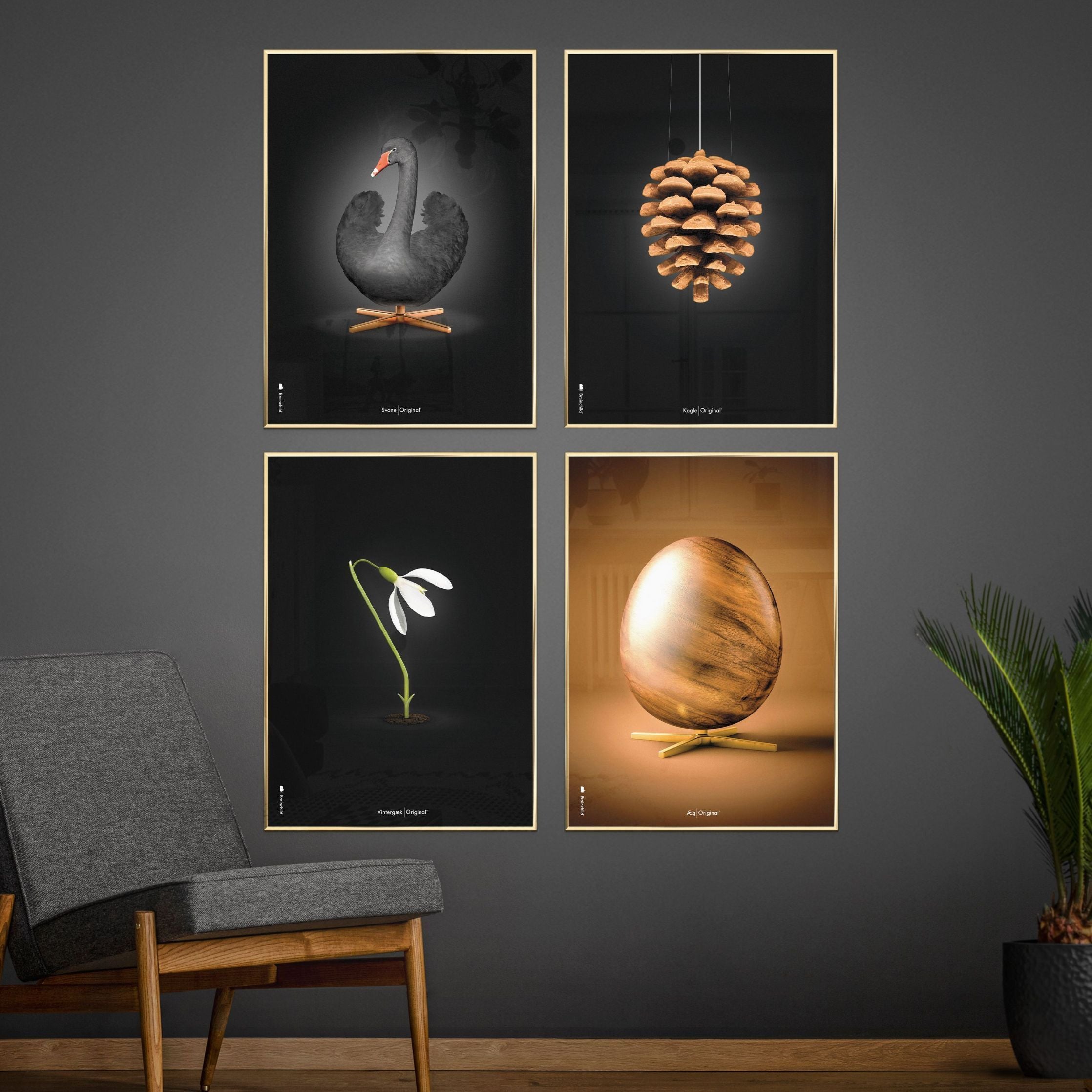 Brainchild Pine Cone Classic Poster, Dark Wood Frame A5, Black Background