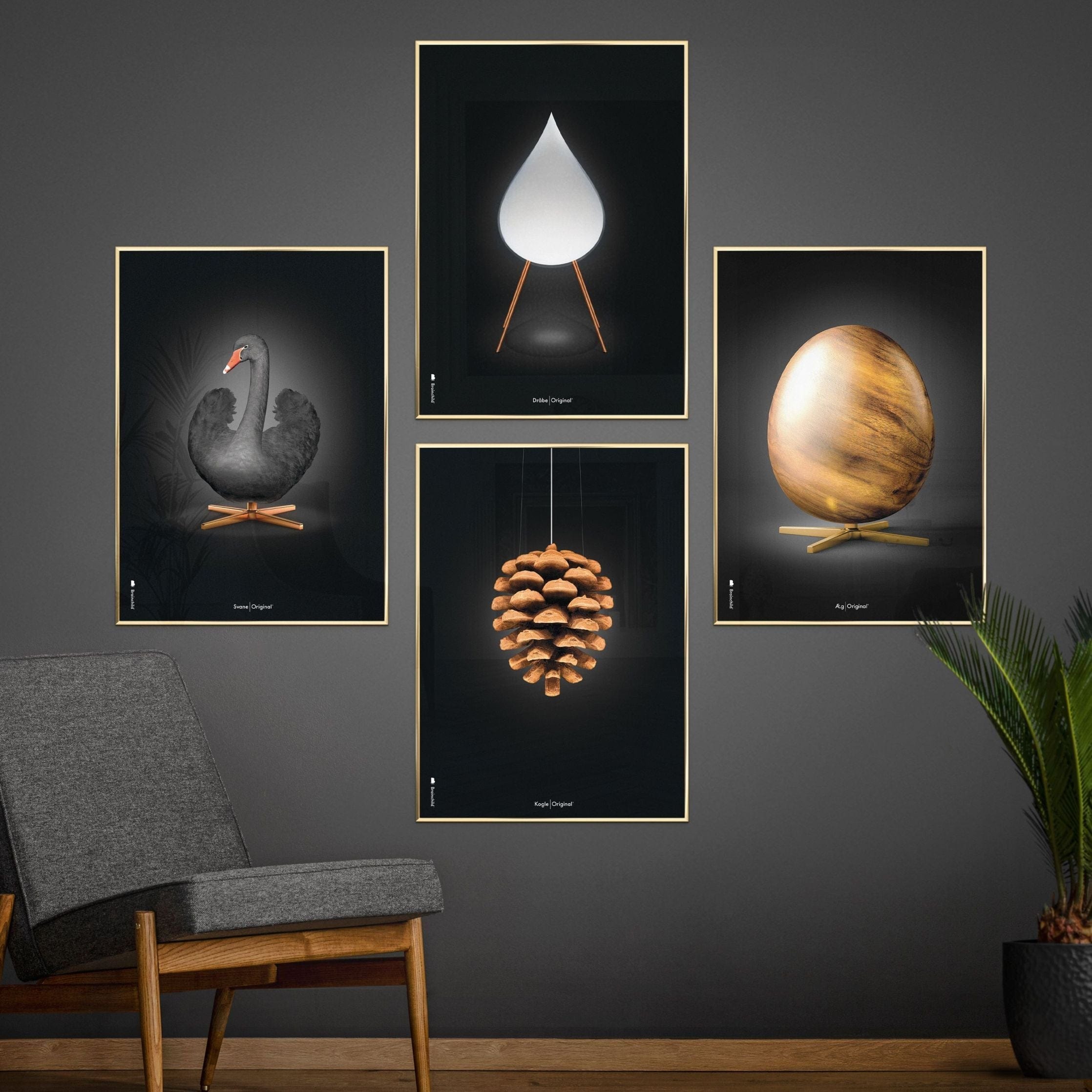 Brainchild Pine Cone Classic Poster, dunkler Holzrahmen A5, schwarzer Hintergrund