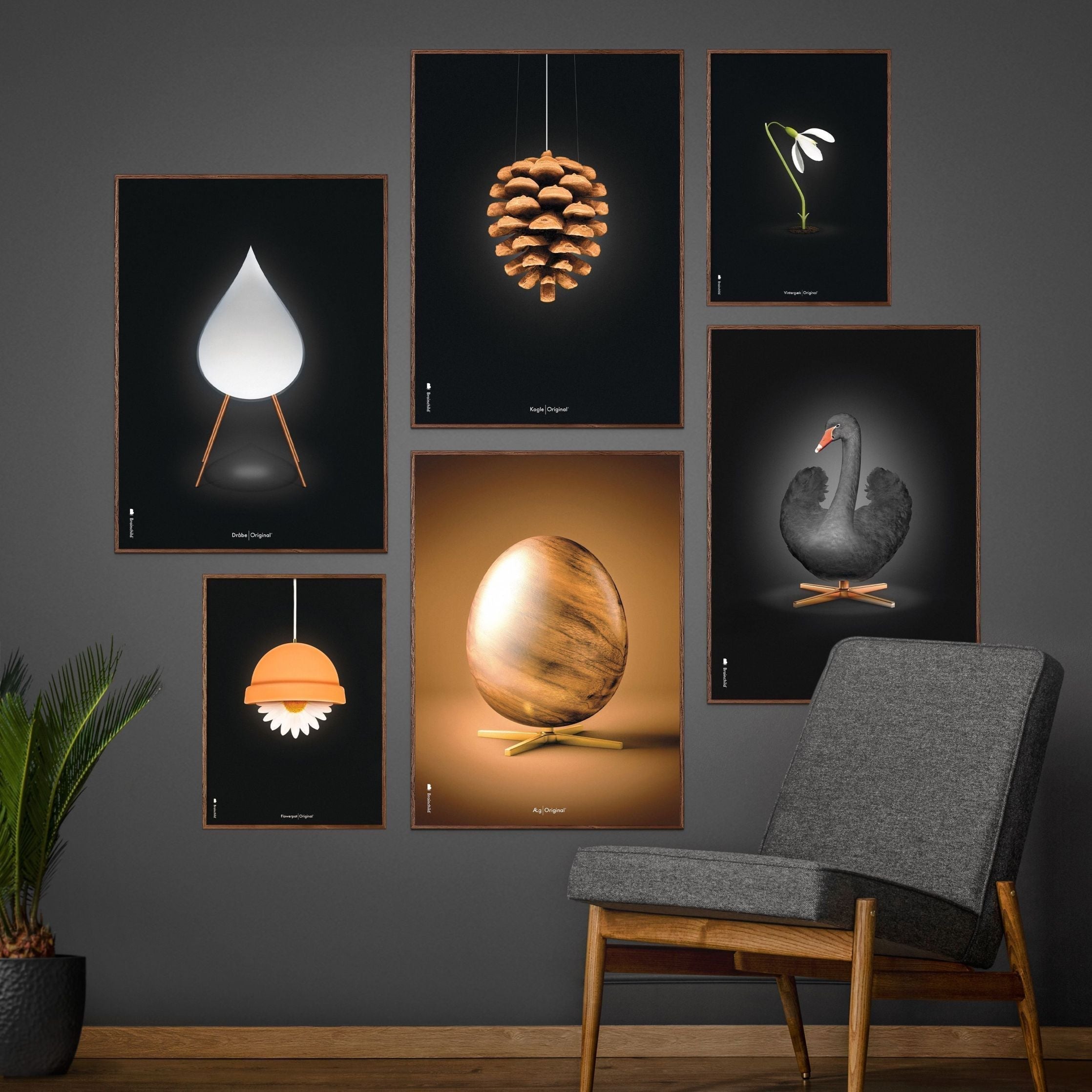 Poster classico di cono di pino da un'idea, cornice in legno scuro A5, sfondo nero