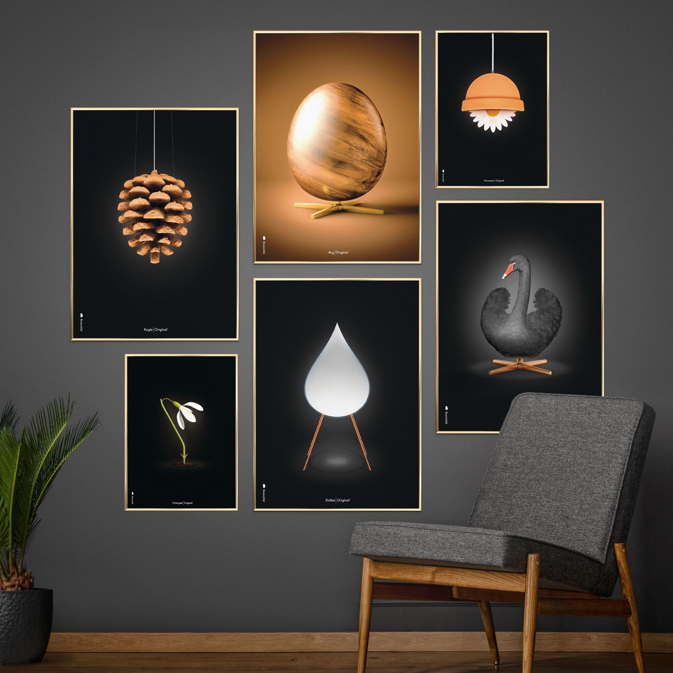 Brainchild Pine Cone Classic Poster, Dark Wood Frame A5, Black Bakgrund
