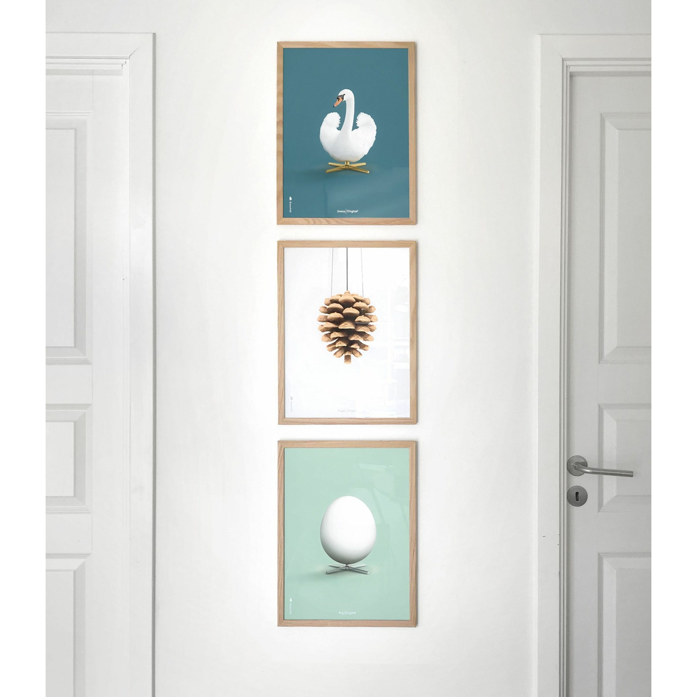 Brainchild Pine Cone Classic Poster, ram gjord av lätt trä 70x100 cm, vit bakgrund