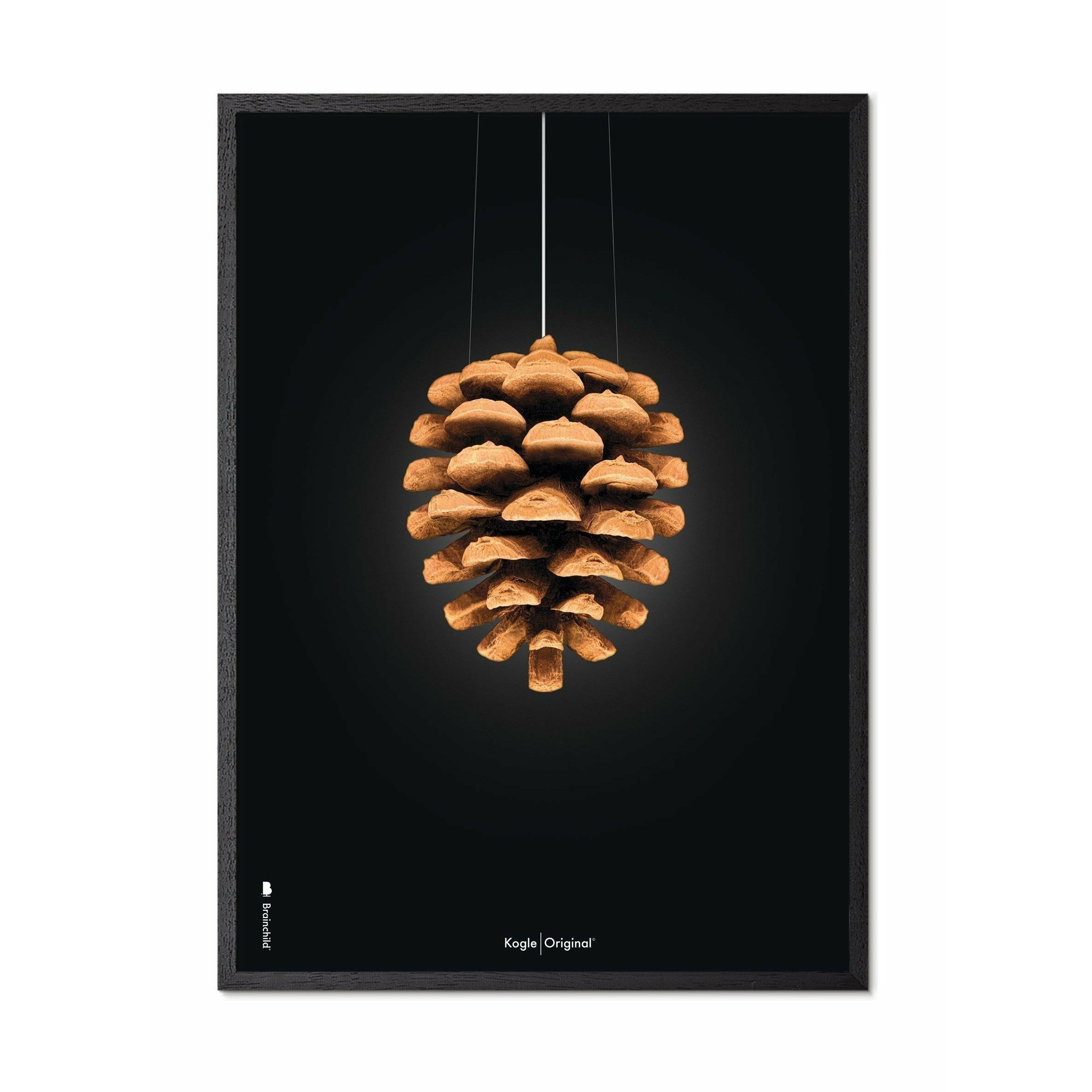brainchild Pine Cone -klassinen juliste, runko mustalla lakattuun puuhun 30x40 cm, musta tausta