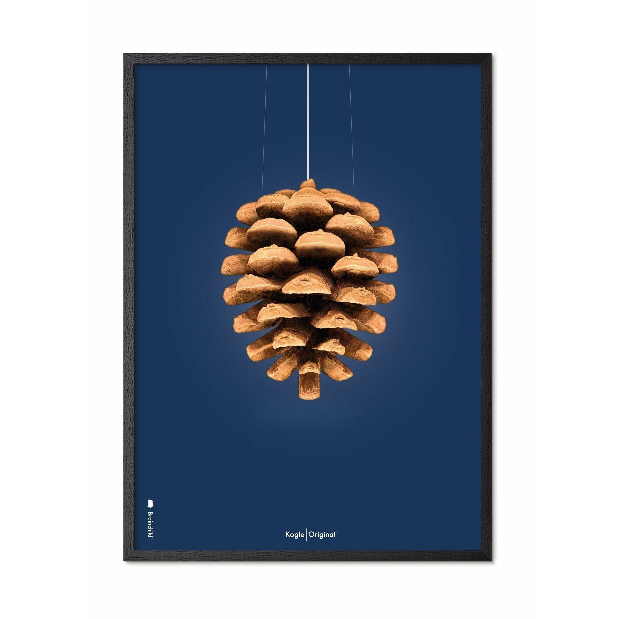 Brainchild Pine Cone Classic Poster, Ramme i svart lakkert tre 50x70 cm, mørkeblå bakgrunn