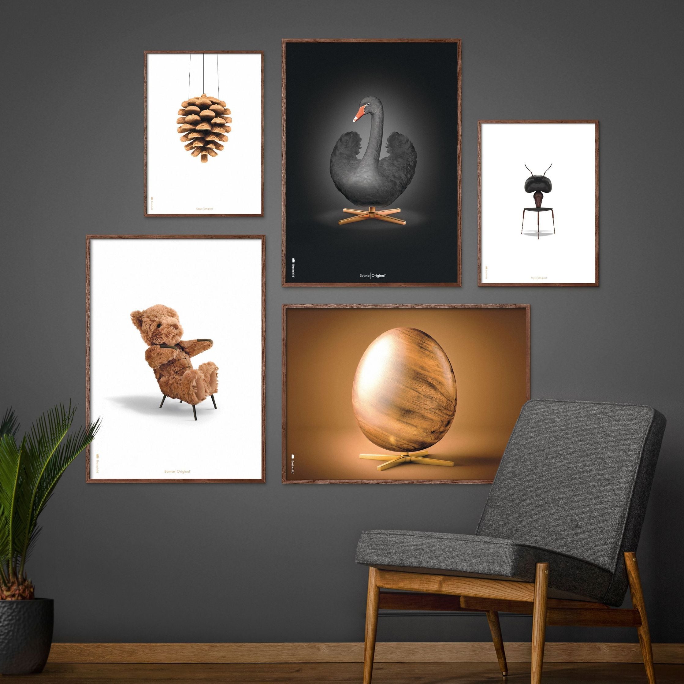 Brainchild Pine Cone Classic Poster, Frame In Black Lacquered Wood A5, White Background