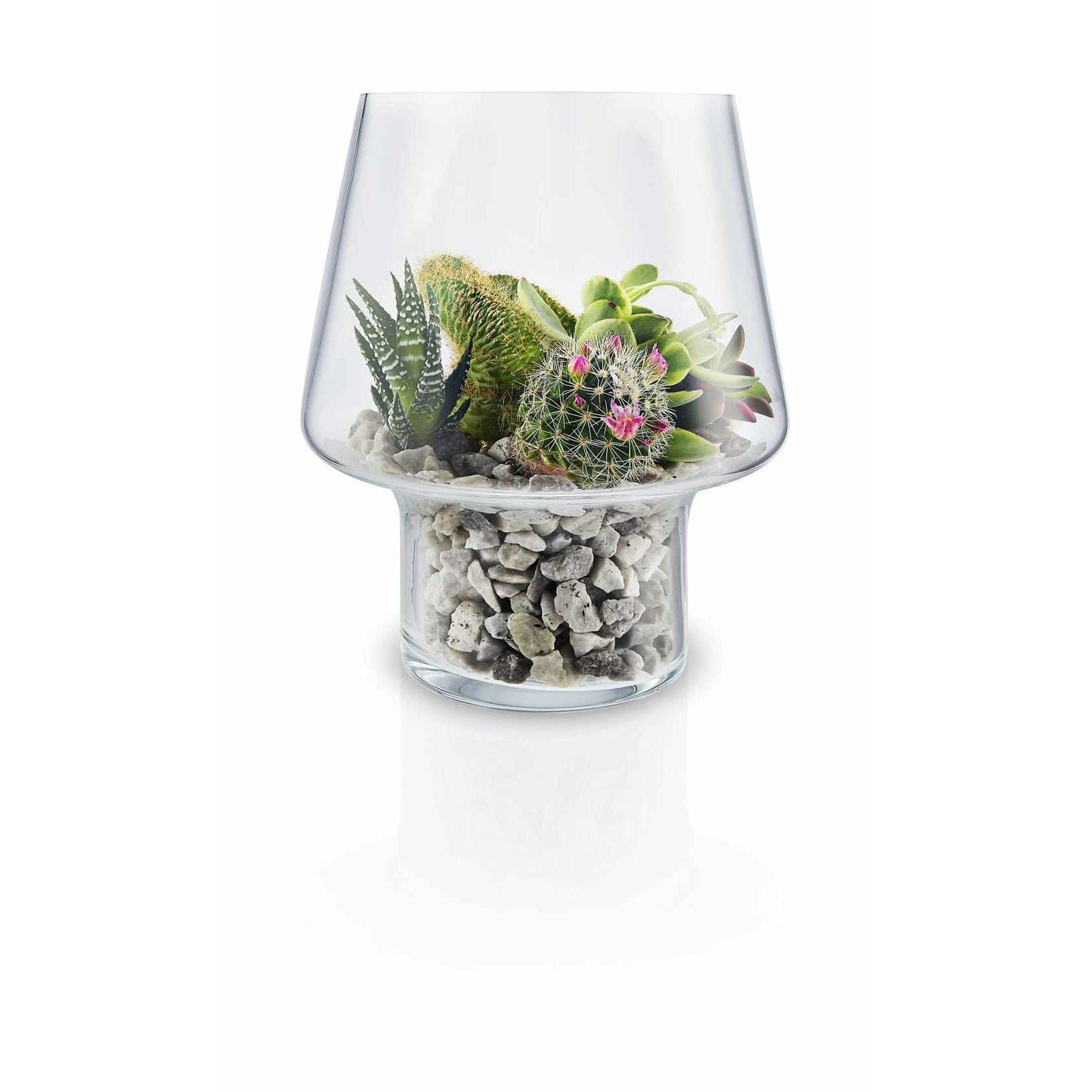 Eva Solo Le vase succulent en verre, Ø15 cm