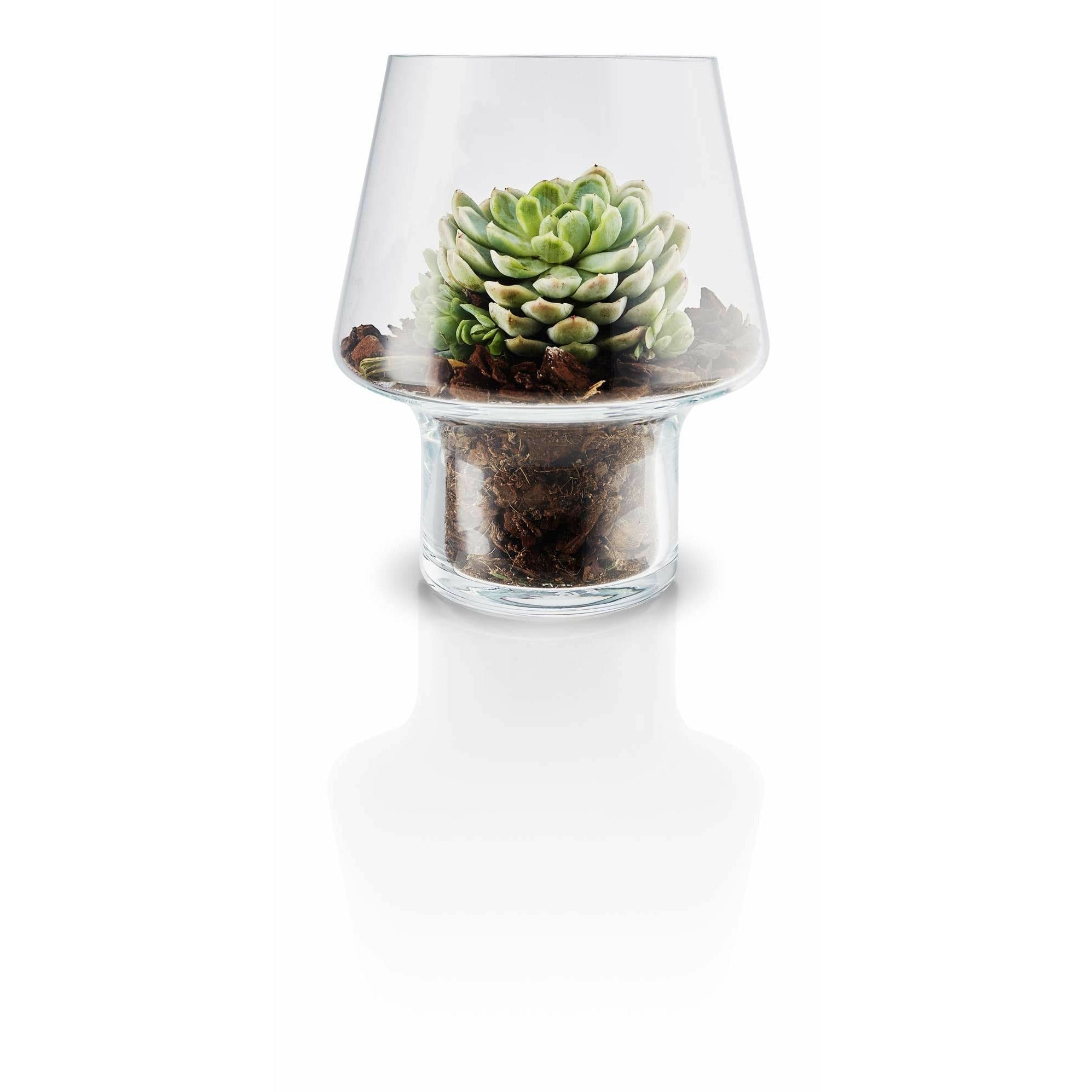 Eva Solo Le vase succulent en verre, Ø15 cm