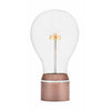 Flyte Edison Light Bulb, Single, Copper