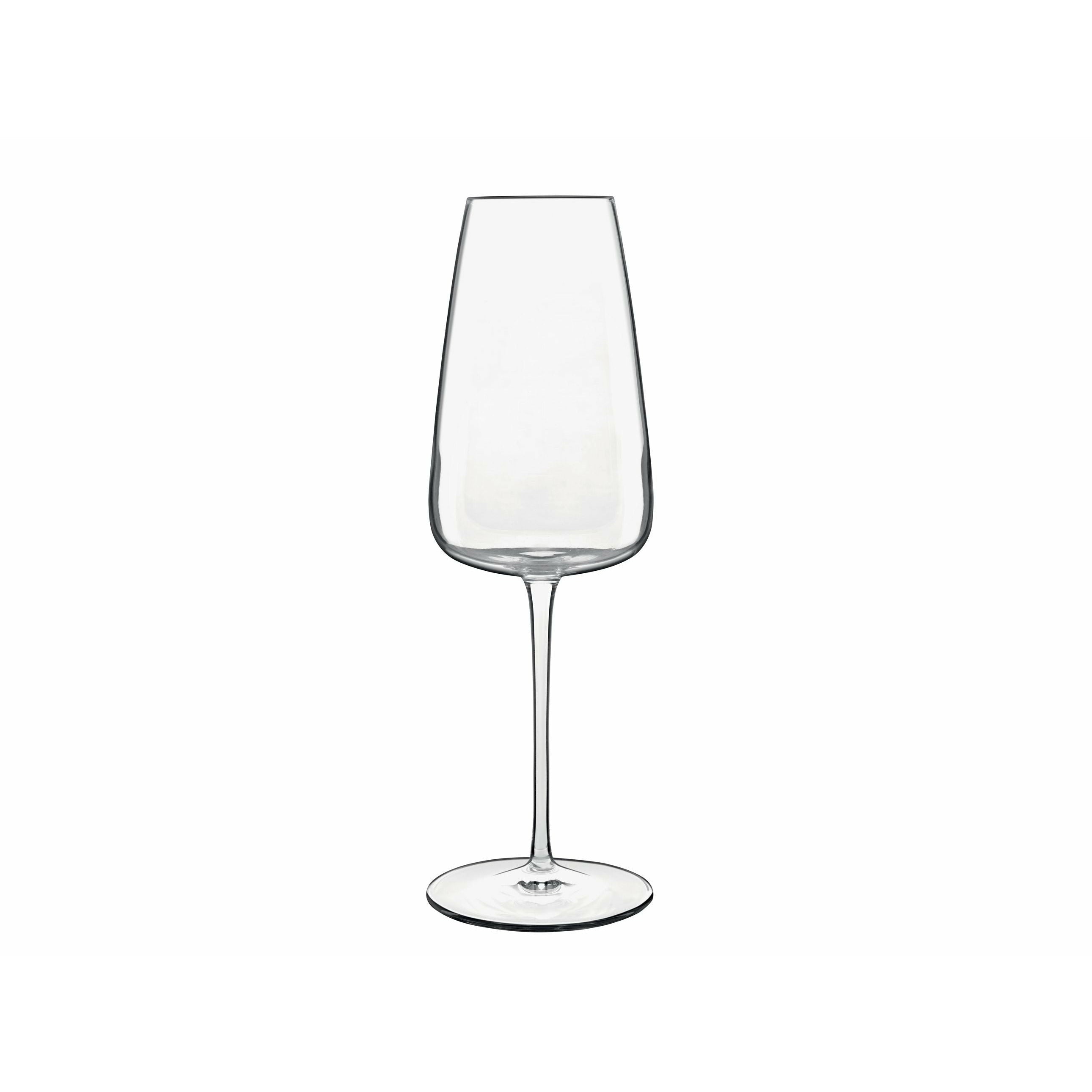 Luigi Bormioli Talismano Champagne Glass, 2 stykki