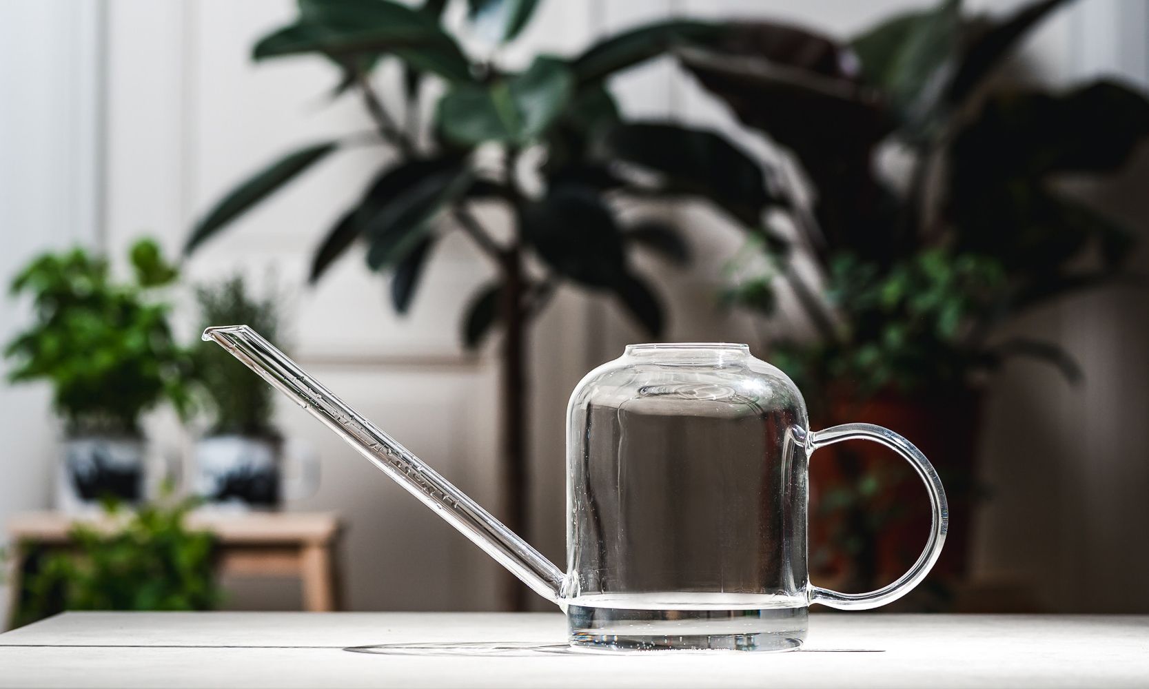 Muurla Watering Can, Clear