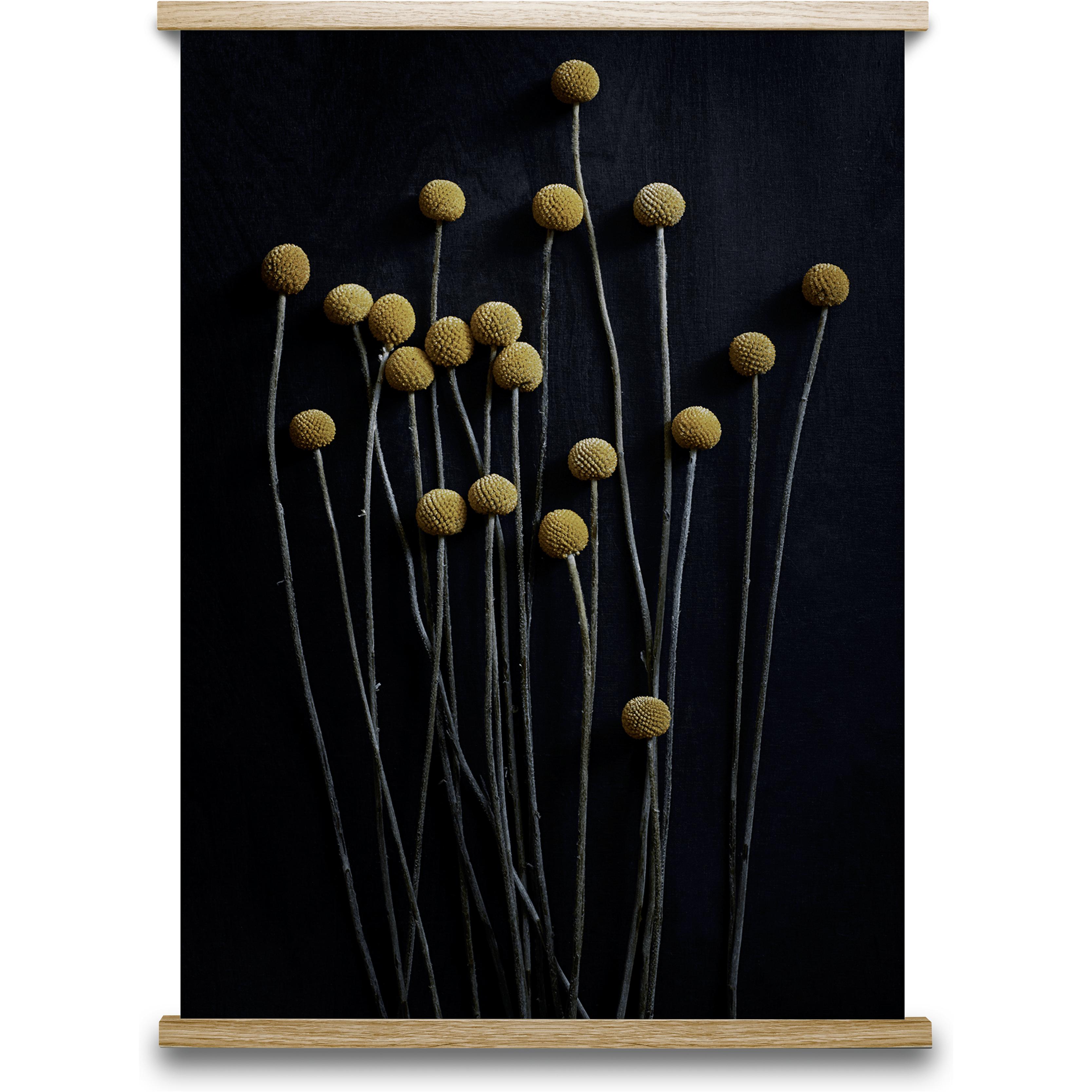 Paper Collective Still Life 01 Poster, 50x70 Cm