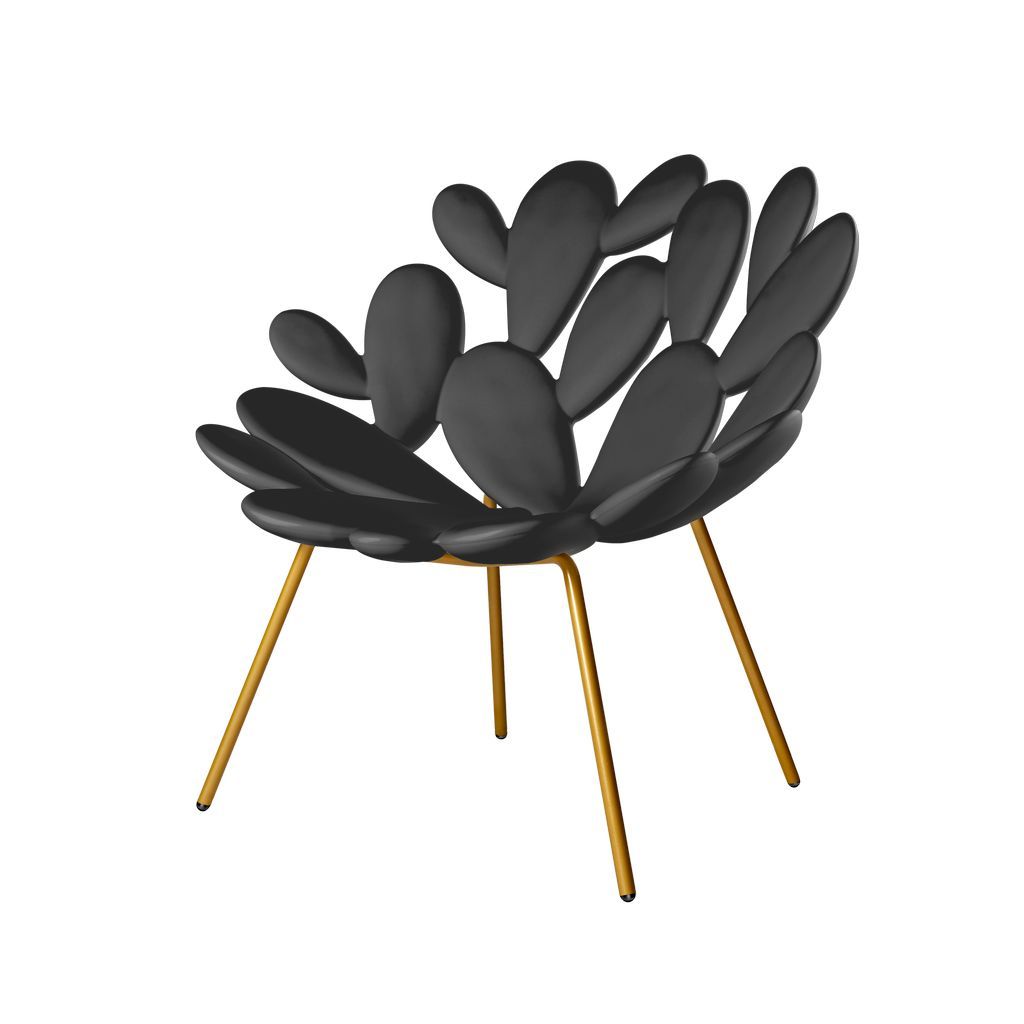 Marcantonio的Qeeboo Filicudi扶手椅，黑色/黄铜