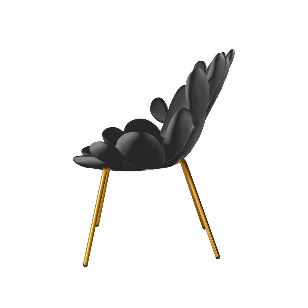 Qeeboo Filicudi fauteuil par Marcantonio, noir / laiton