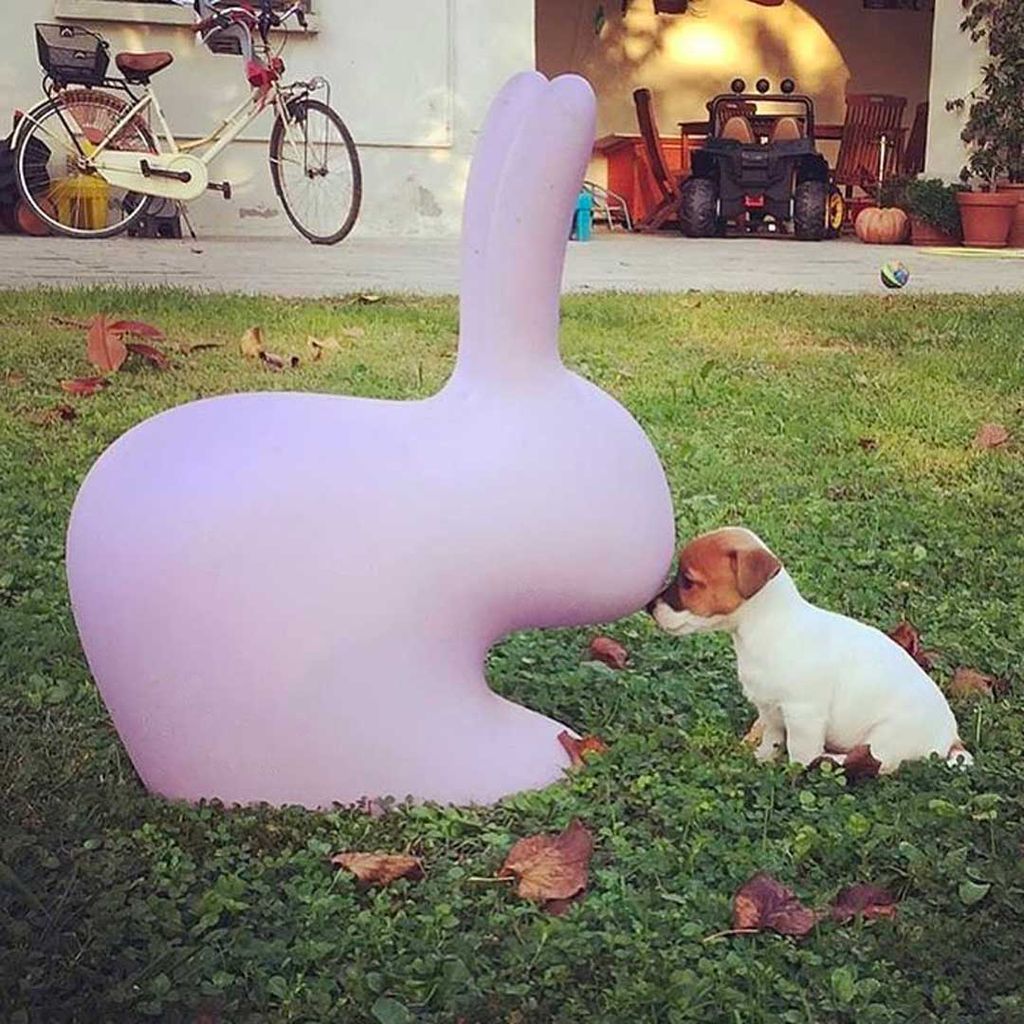 Qeeboo Bunny -tuoli, kirjoittanut Stefano Giovannoni, vaaleanpunainen