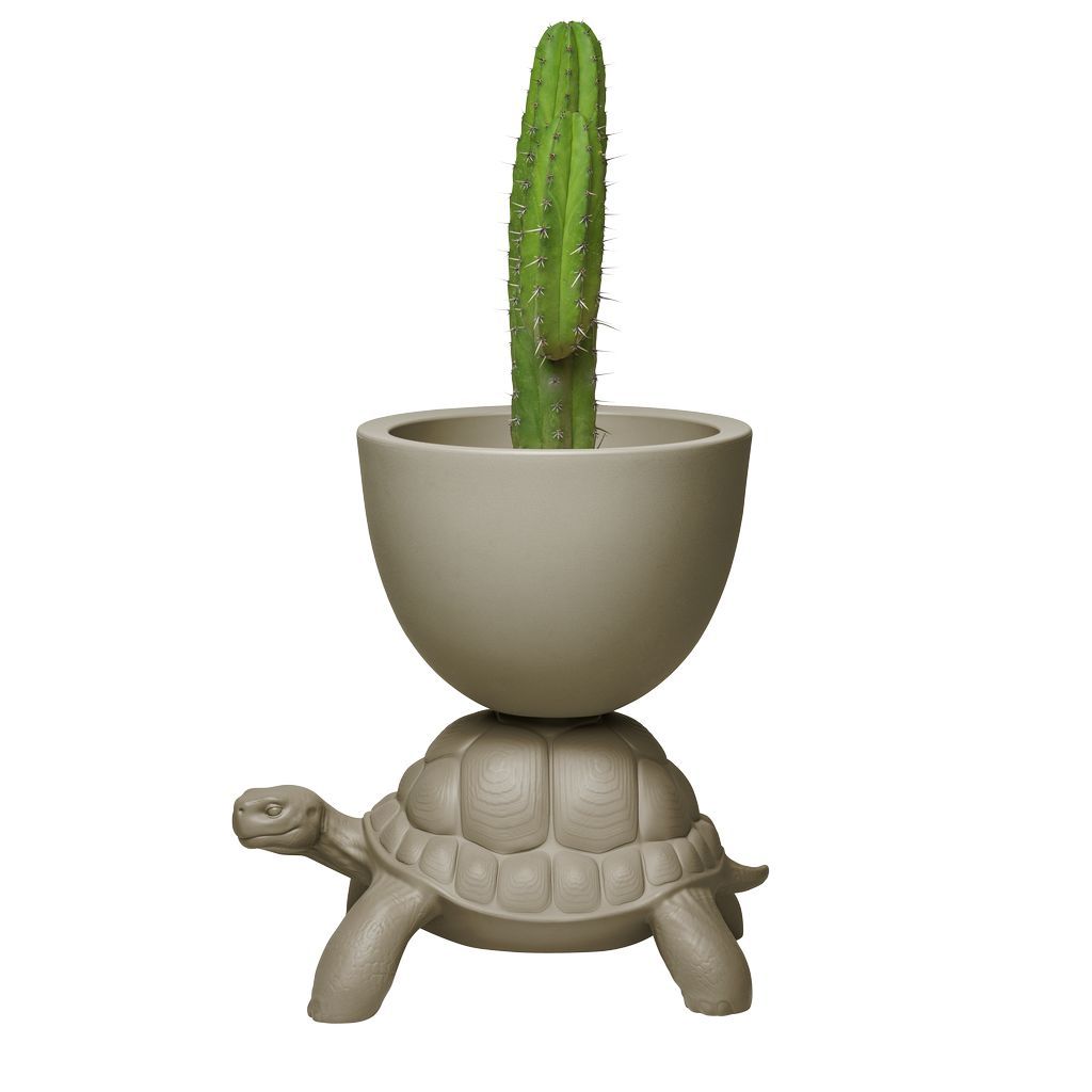 Qeeboo Turtle携带花盆和香槟冷却器，灰色