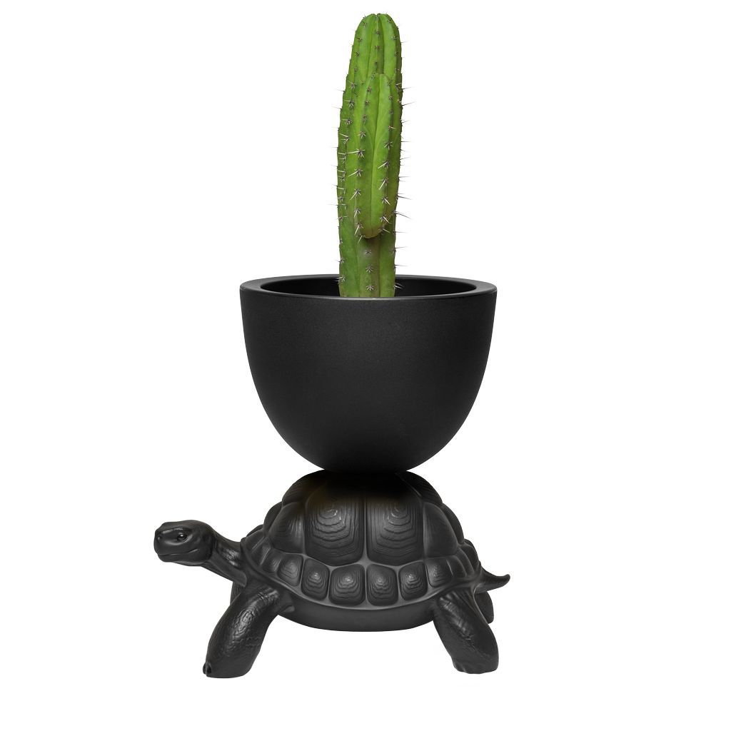 Qeeboo Turtle携带花盆和香槟冷却器，黑色