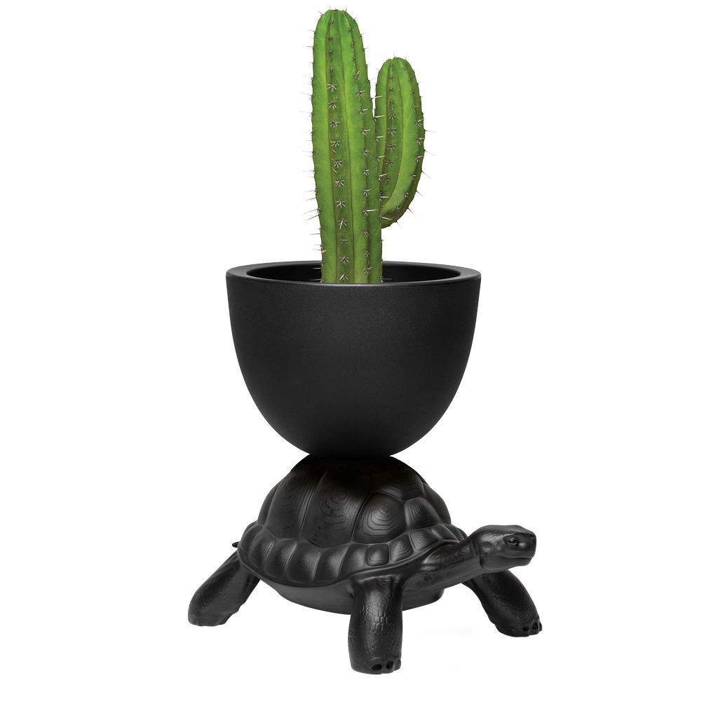 Qeeboo Turtle porte du pot de fleurs et du champagne plus frais, noir