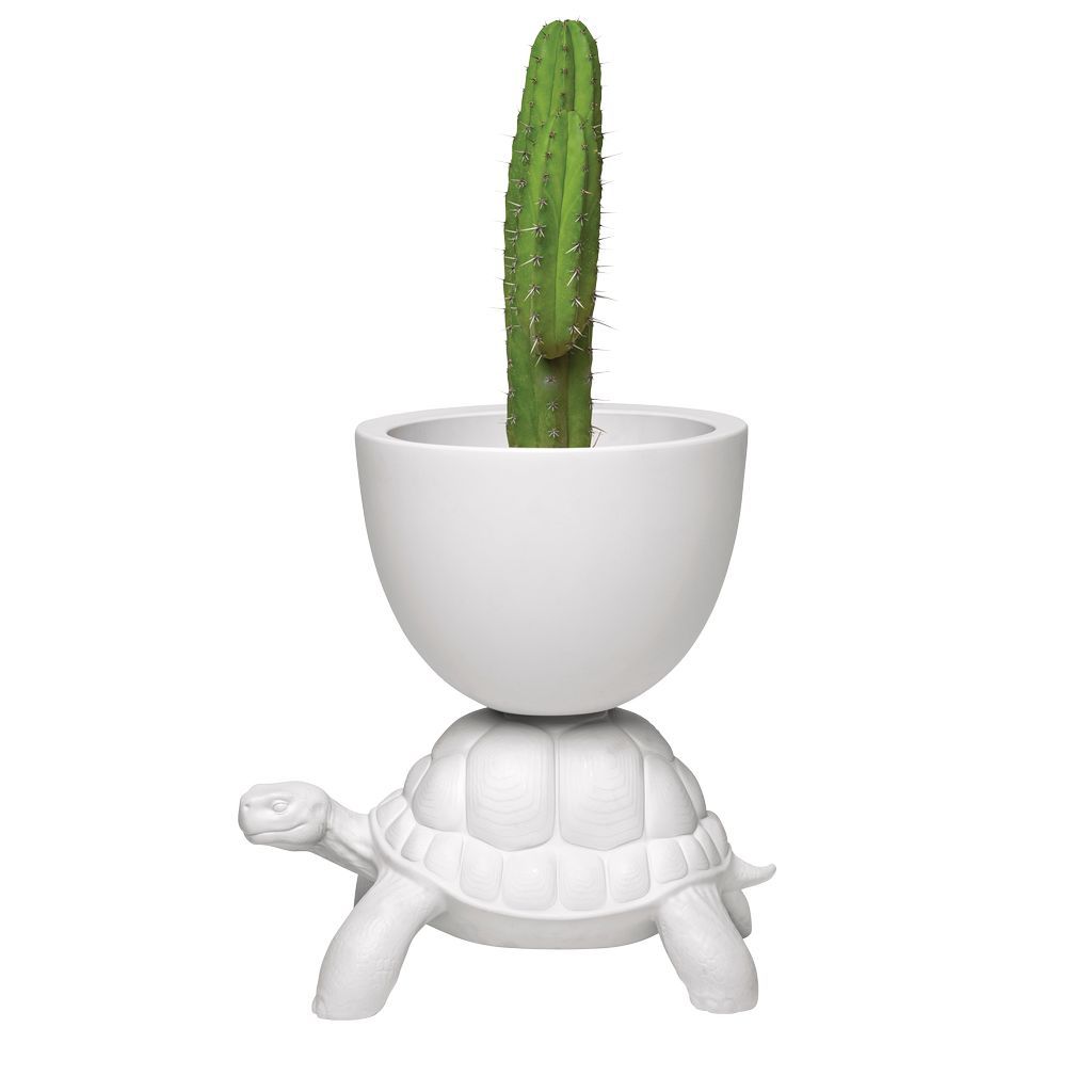 Qeeboo Turtle携带花盆和香槟冷却器，白色