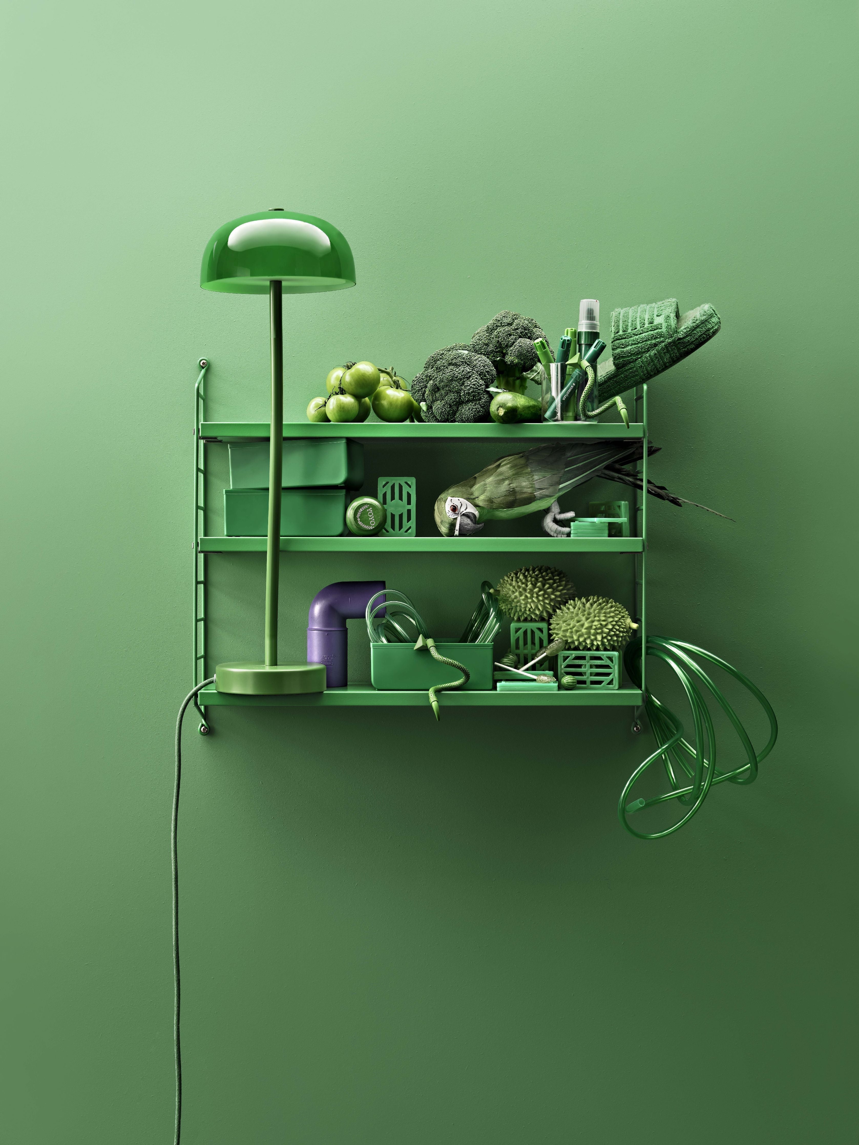 String Furniture Étagère murale de poche à corde, vert